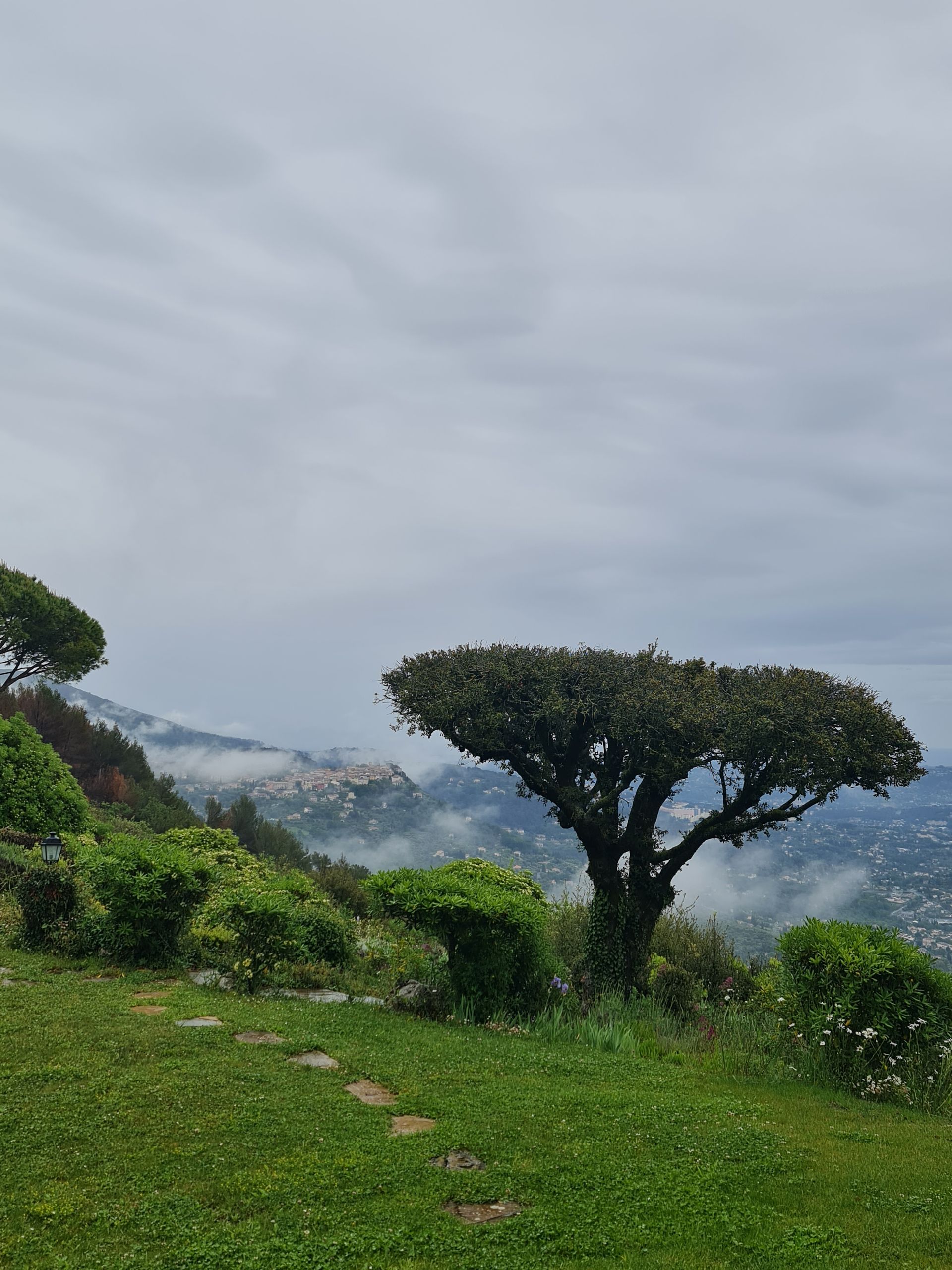 Blick von einem Berg auf ein Tl mit Häusern und dem Meer im Hintergrund. Vordergrund ein Baum, Wiese und Büsche. leichter Nebel