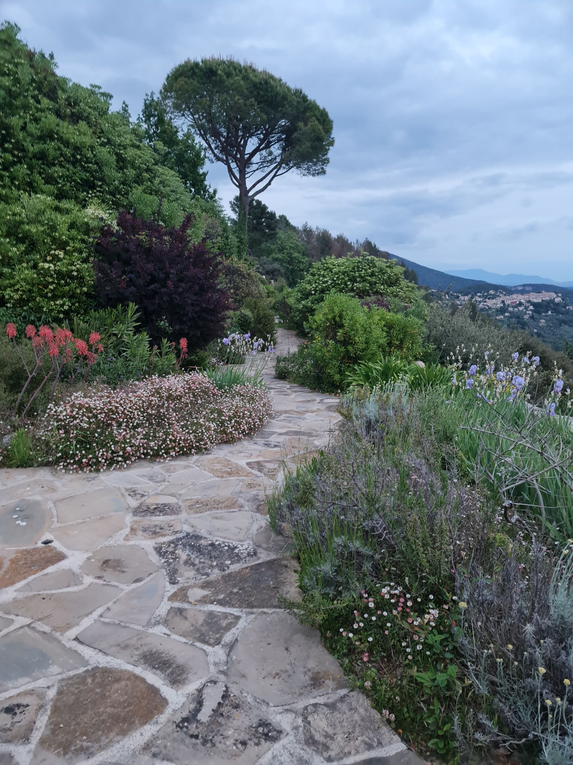 steinerner Gartenweg auf einer Anhöhe mt Pinie