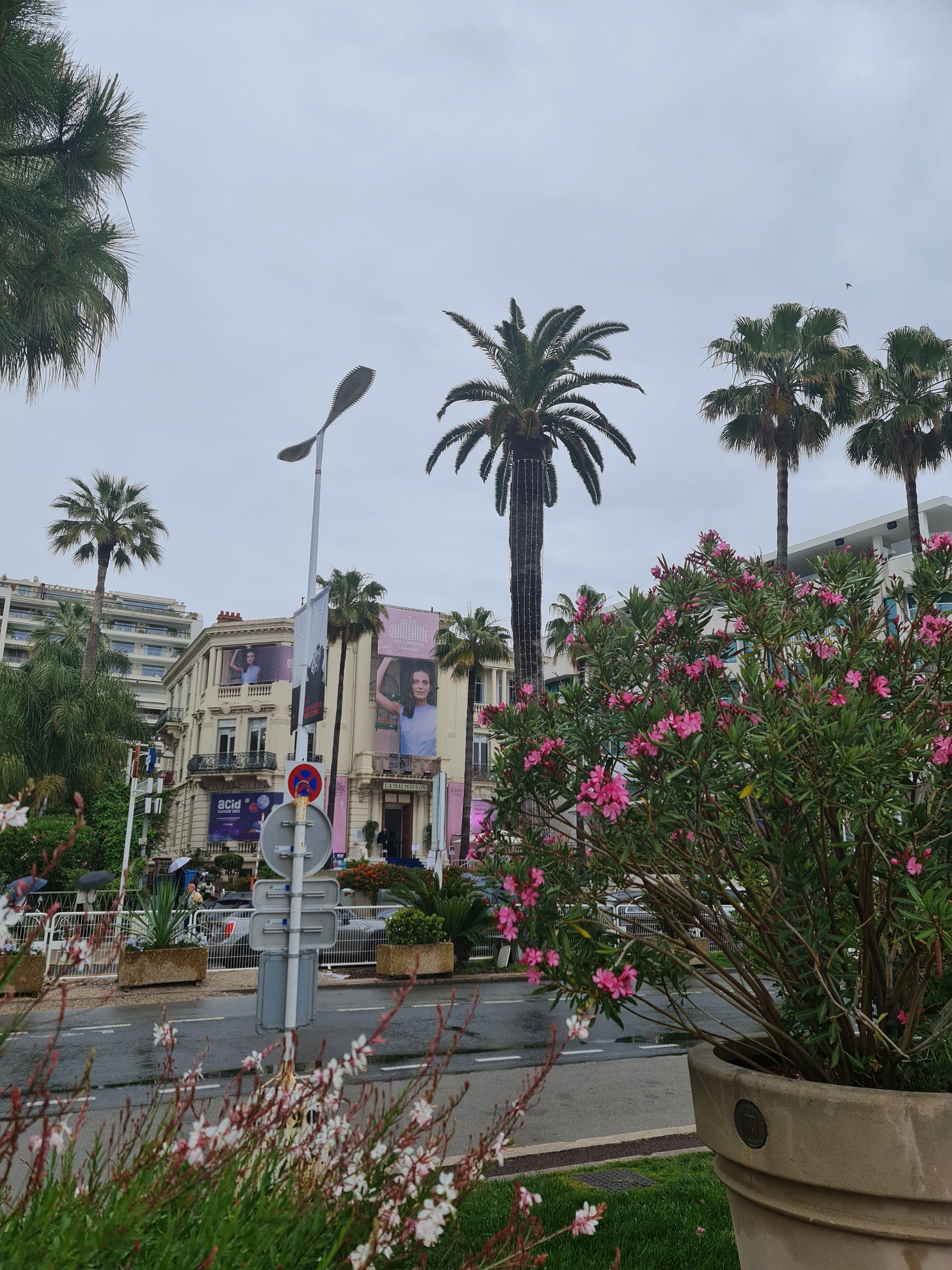 Palmen und Stadt an der Cote d azure
