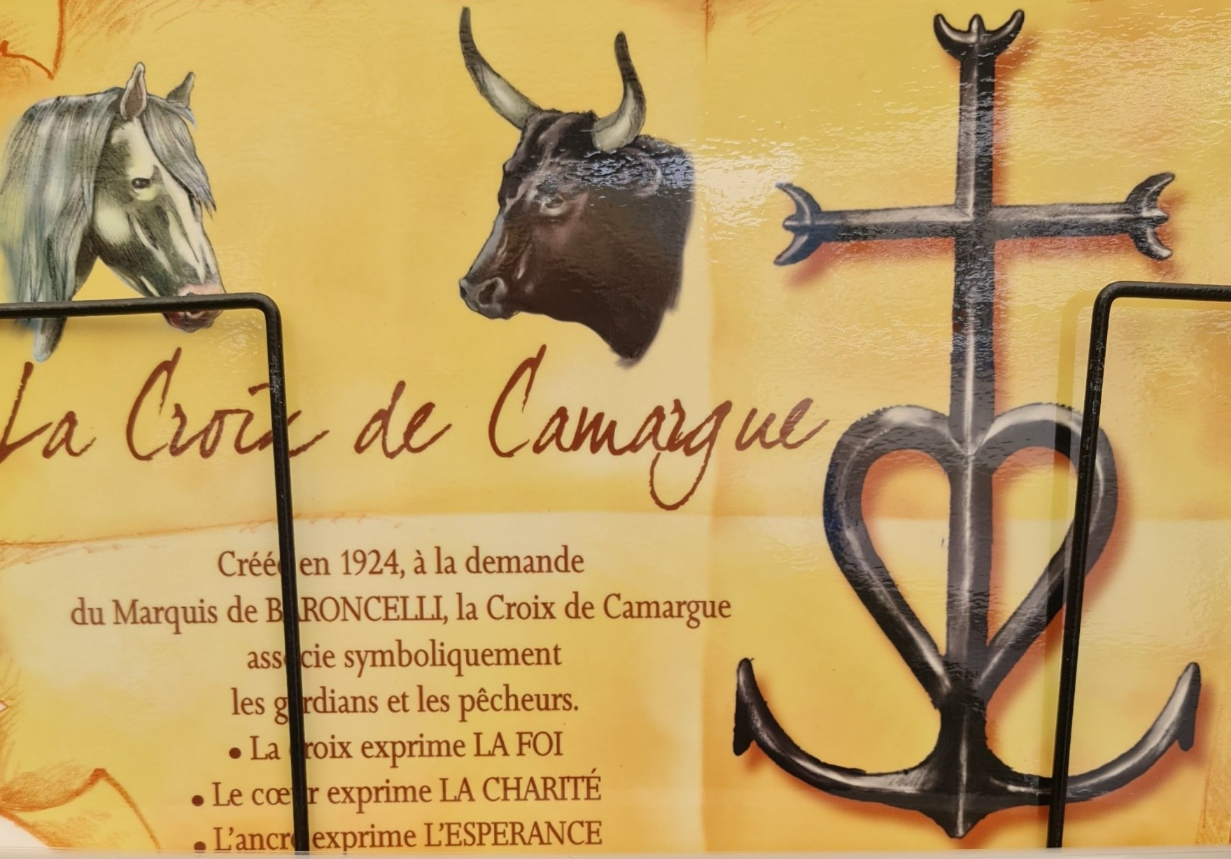 Das Kreuz der Camargue    Photo by: Viola Einert-Krug ein bild mit einem Kopf von einem weissen Pfrdund einem schwarzen Stier und dem Kreuz der Camargueimmel sind blau-im Vordergrund ein Pflänzchen im SandsandWinterlandschaft und Blick auf die Stadt Chemnitz im Hintergrund unter blau-grauem Himmel