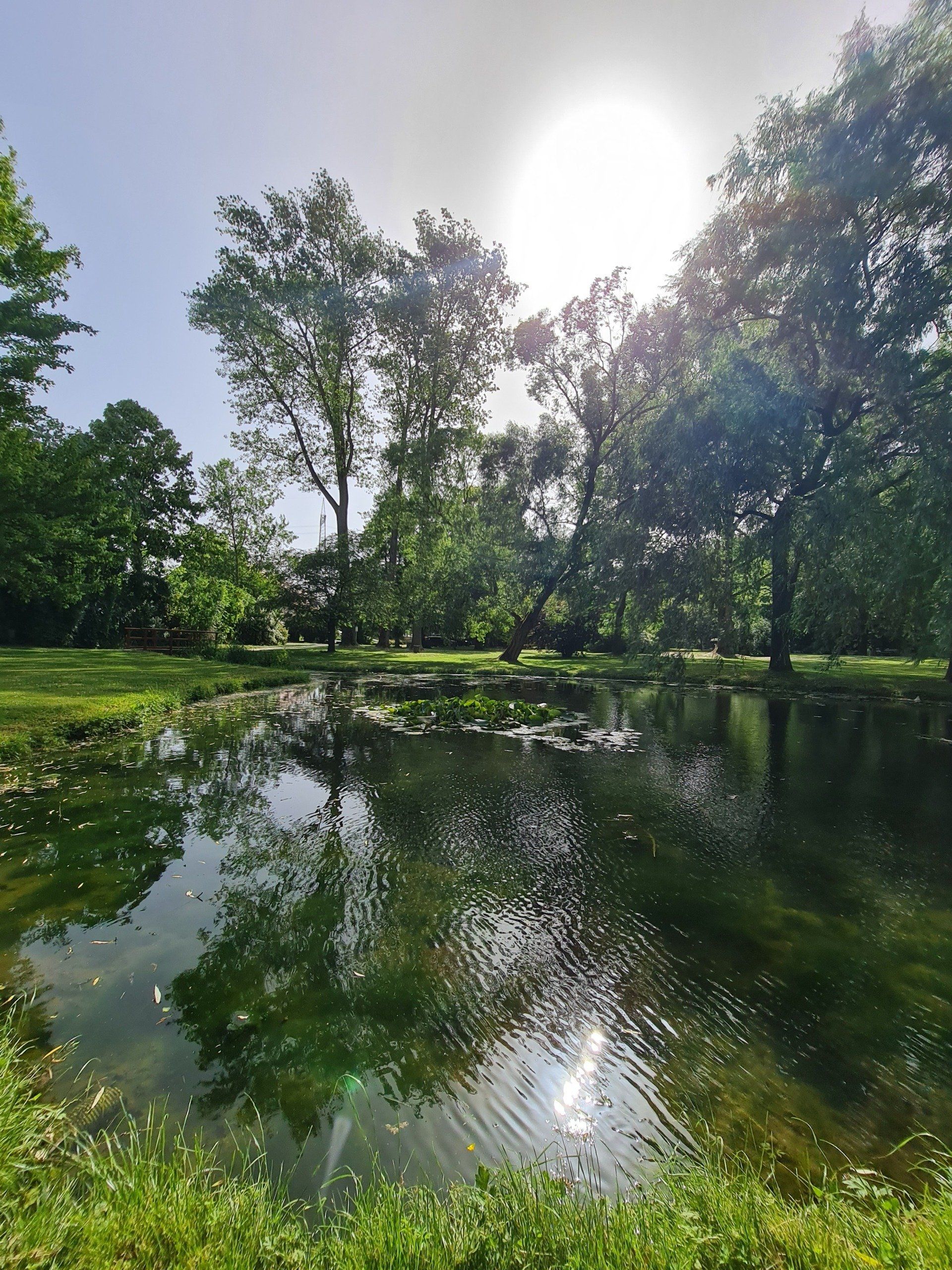 Teich und die Sonne spiegelt sich darin im grünen Park