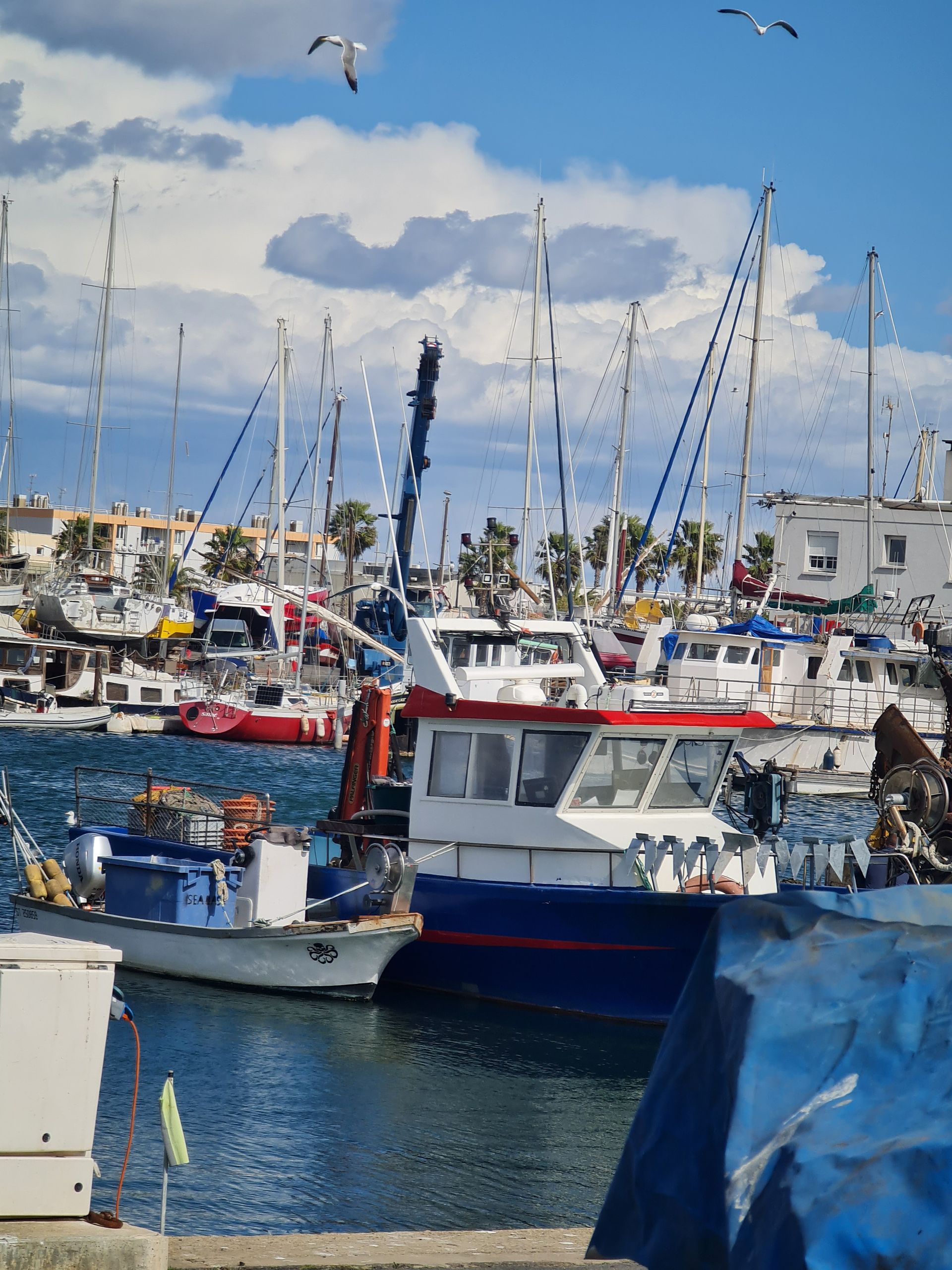 Schiff im Fischereihafen