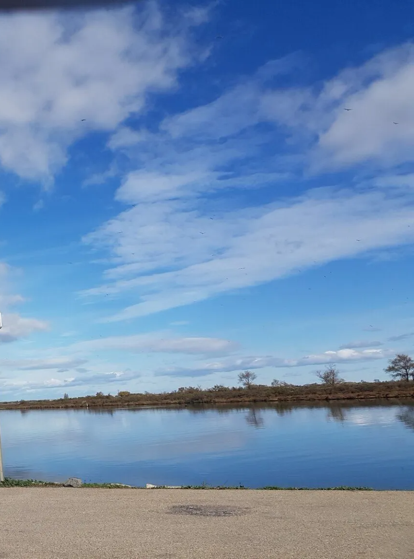 weiter Himmel - blaues Meer-Südfrankreich Photo by: Viola Einert-Krug Himmel blau und weit wie das Meer