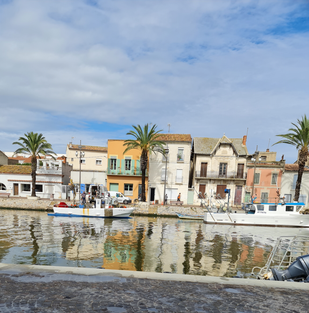 schöne alte Häuser in orange und beige am Kanal Le Grau du Roi mit Palmen