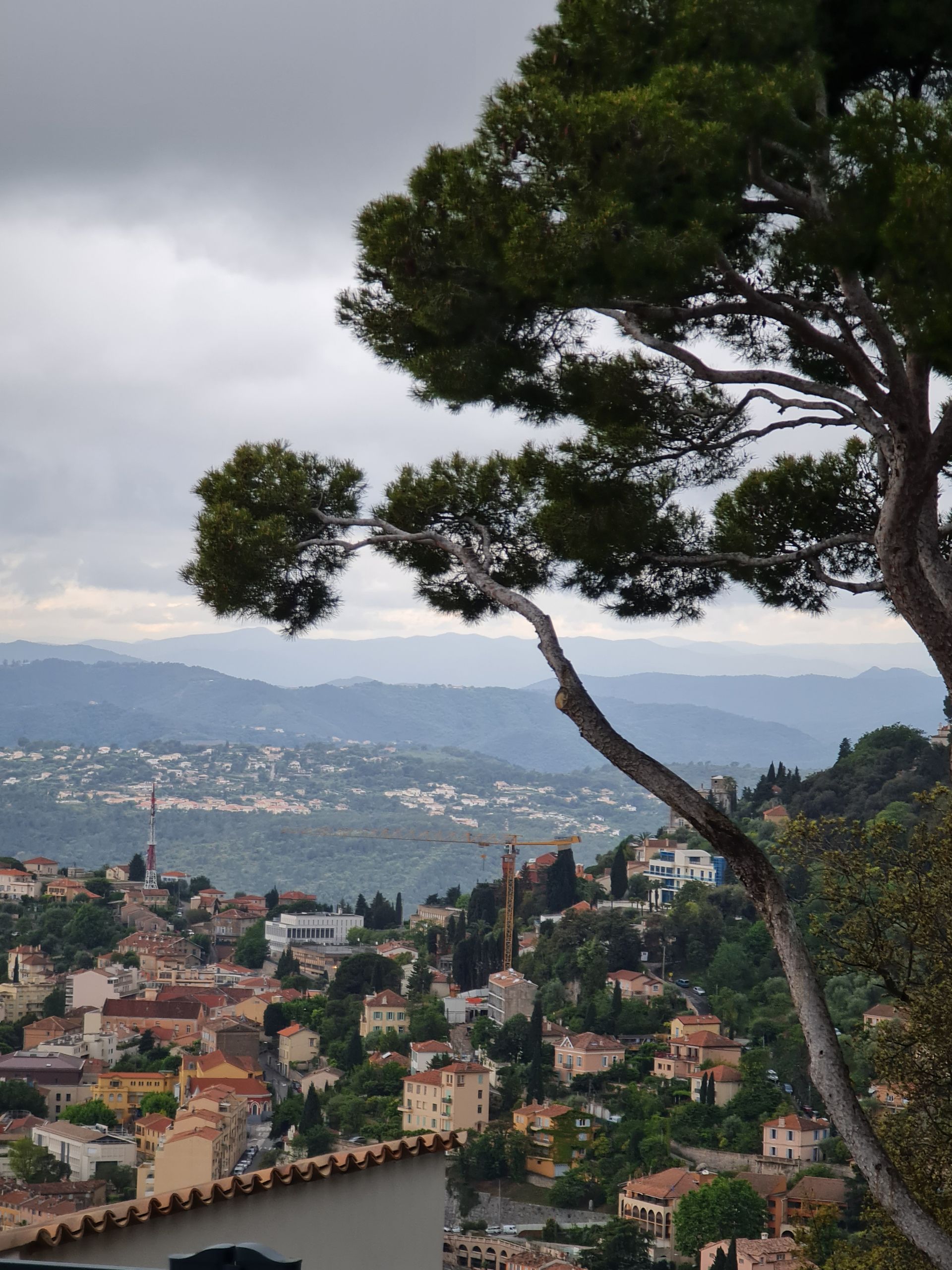 Ausblick vom Berg ins Tal auf die Stadt Grasse im vorne rechts eine Kiefer