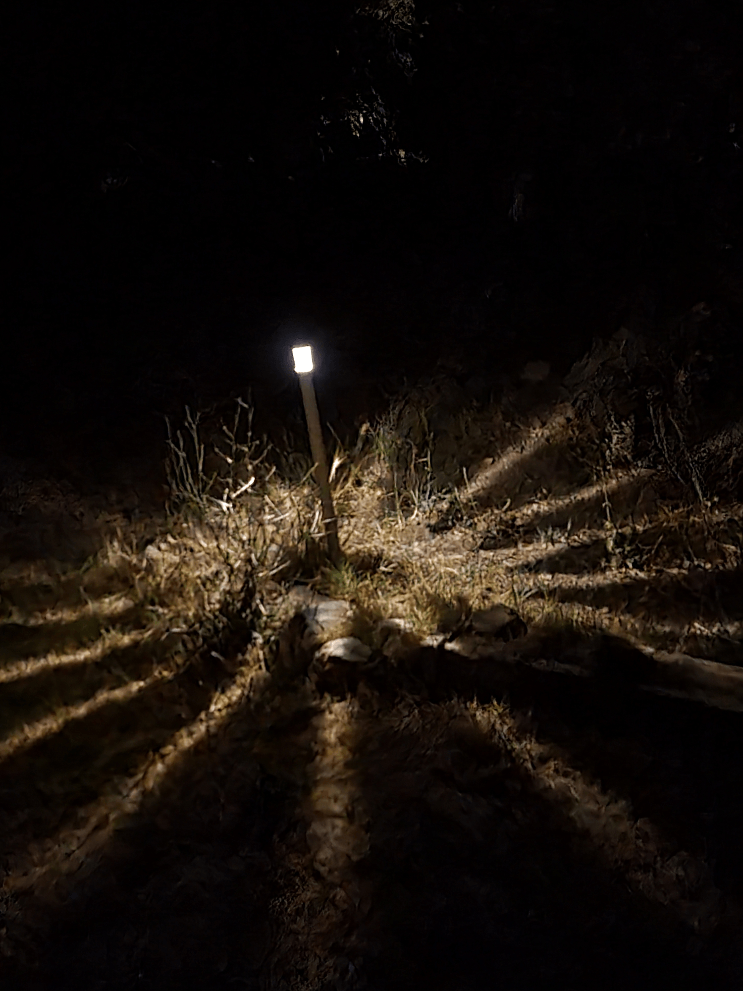 Gute Nacht am letzten Abend in Korsika. Photo by: Viola Einert-Krug Abschied von Korsika - gute Nacht