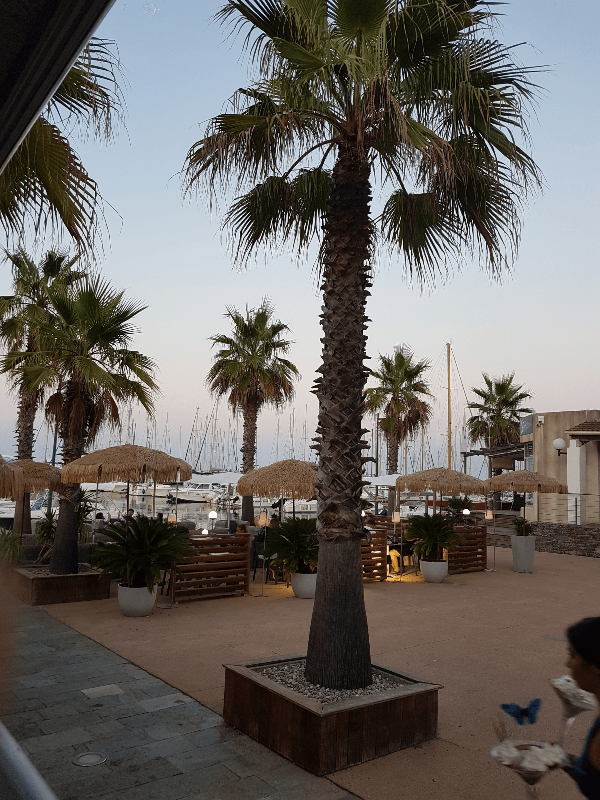Hafen Port de Taverna - Korsika