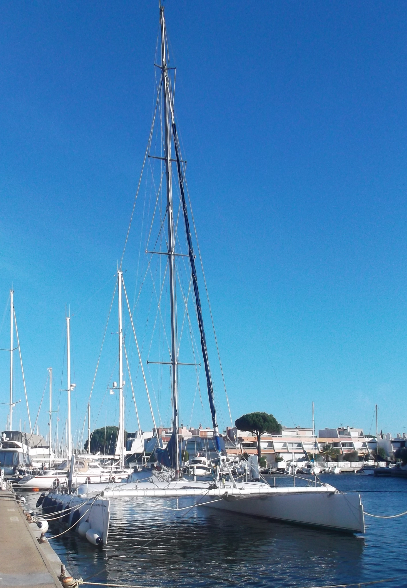 weißer Katamaran im Hafen Port Camargue auf blauen Wasser der Himmel ist strahlend blau Le Grau du Roi