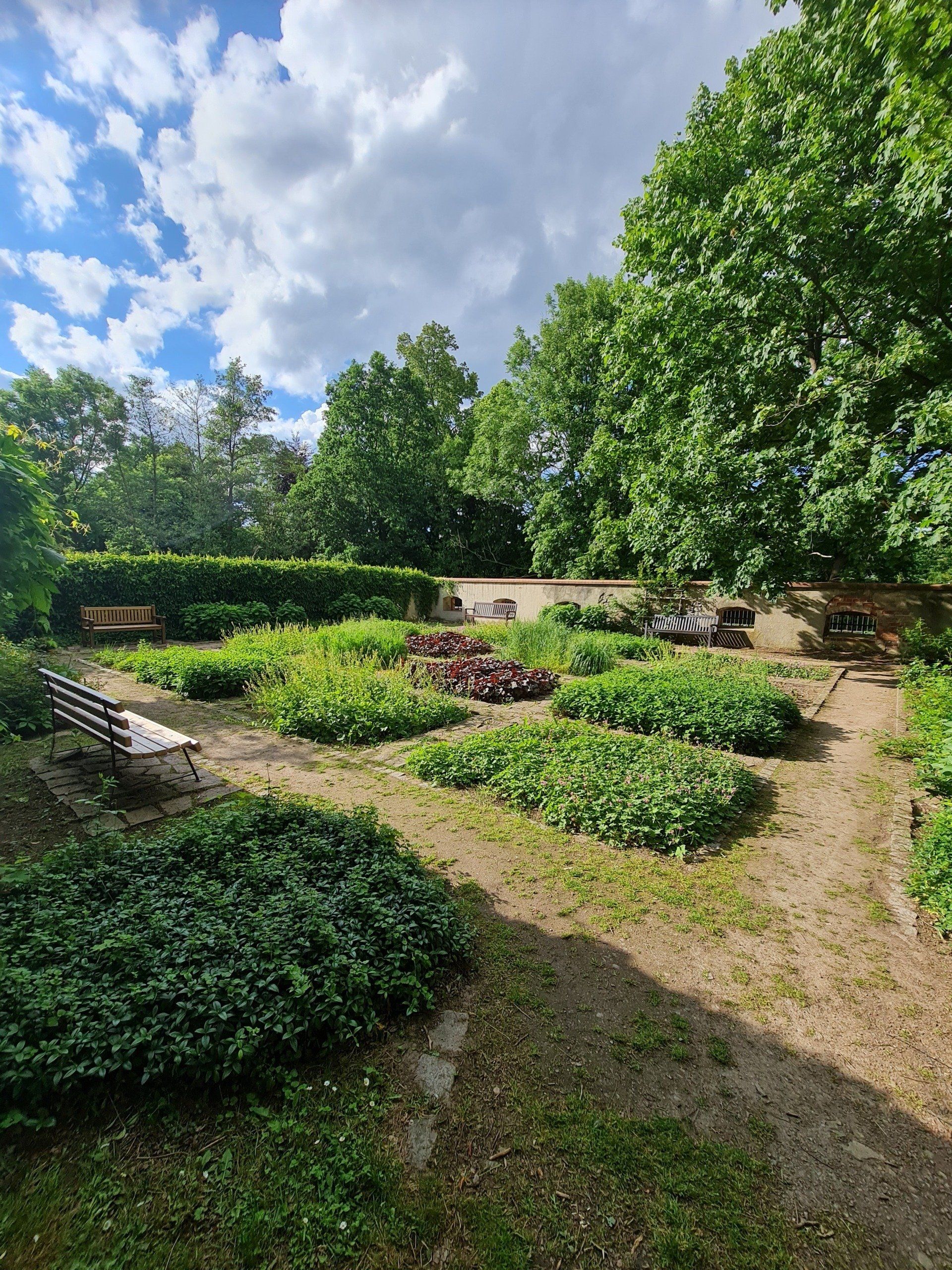 kleiner Kräuter und Rosengarten im Schloss