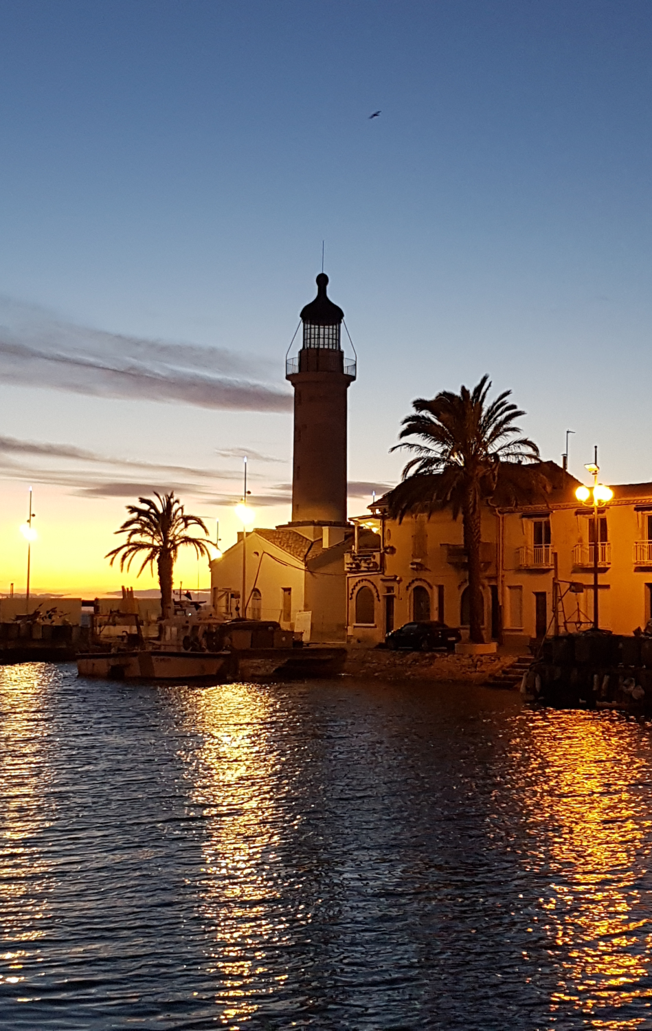 Leuchtturm in der Dämmerung bei Sonnenuntergang mit Palme in Le Grau du Roi