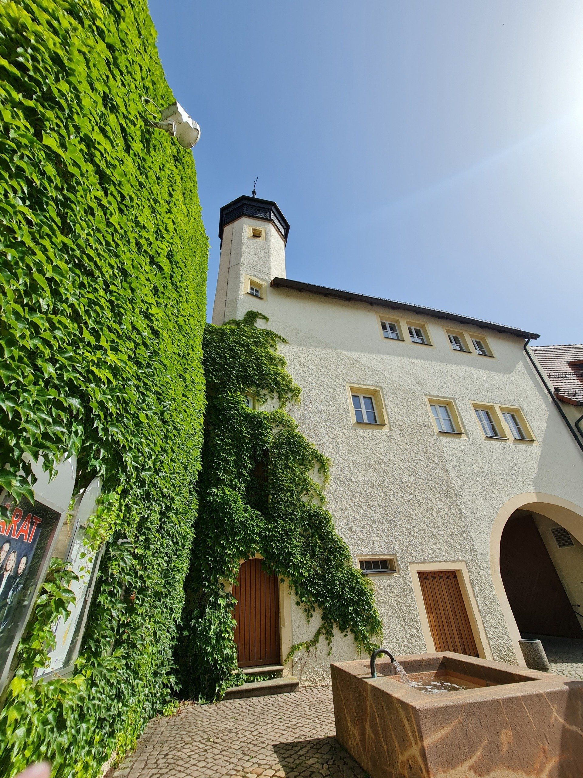 Schlossgebäude mit Turm und bewachsenem Wein