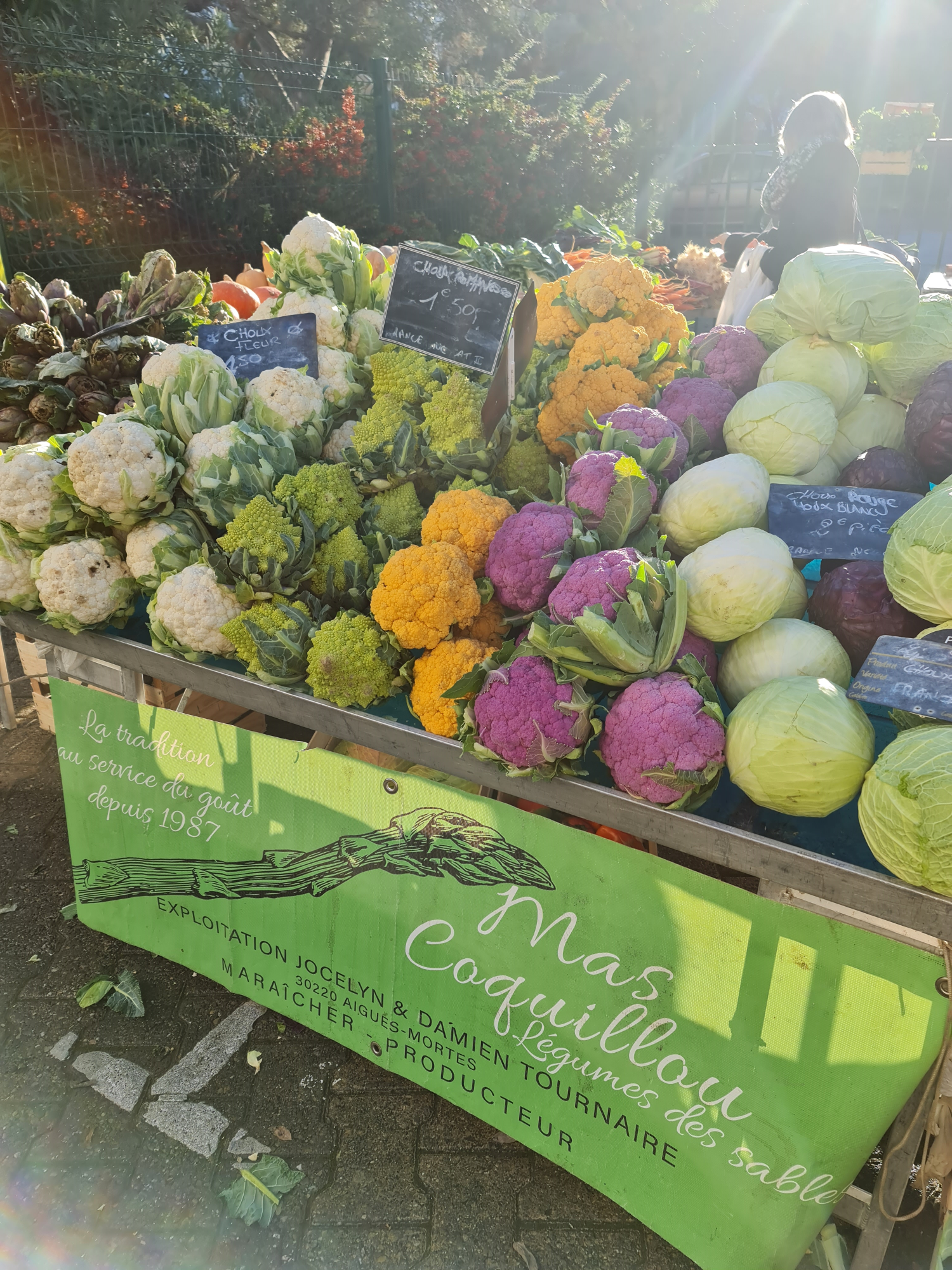 Marktstand mit grüner Plne und Werung des Farmers . auf dem Tisch liegt verschiedenfarbiger Blumenkohl, Romanesko usw