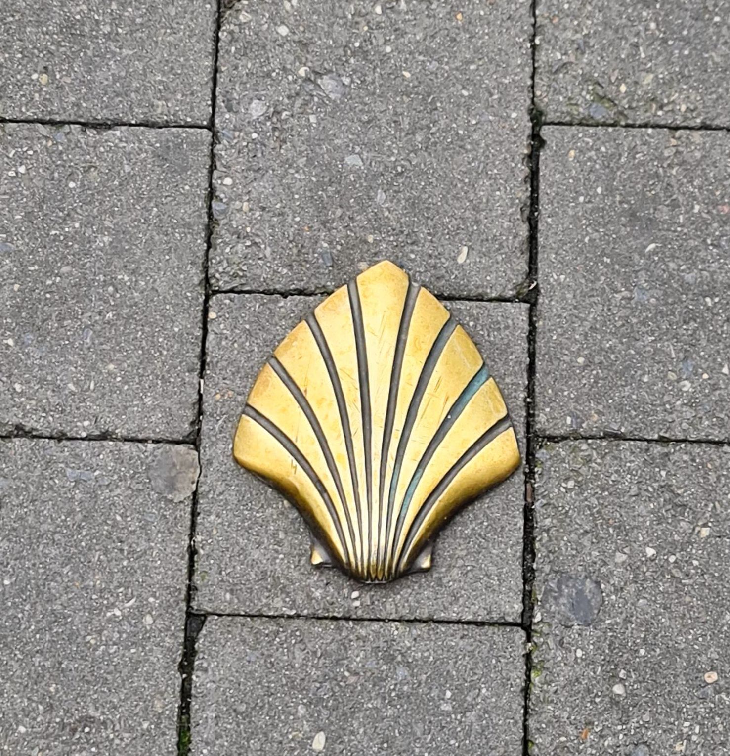 Zeichen des Jacobsweges in Form einer goldenen Muschel auf dem Fußweg