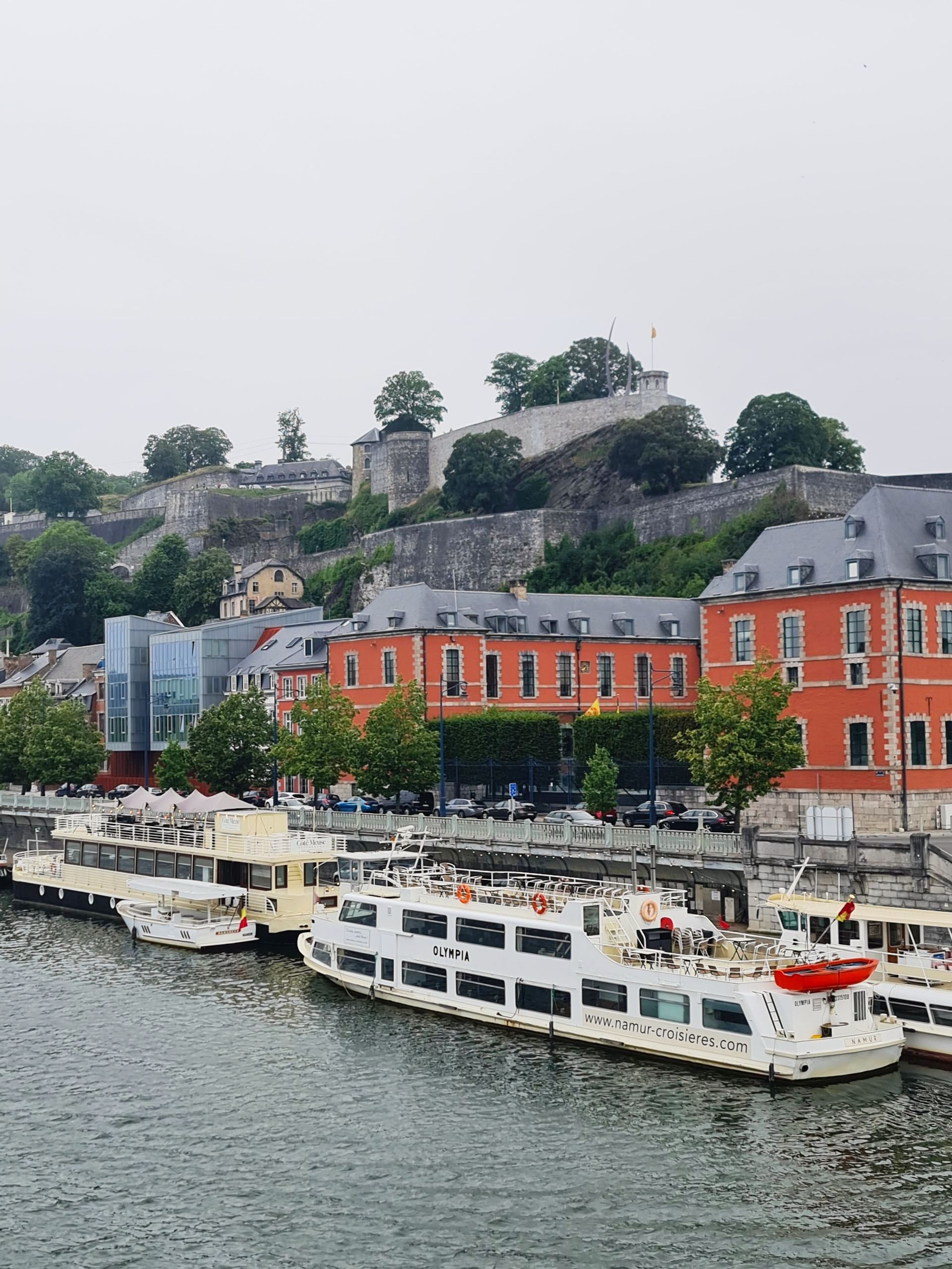Ausflugsschiffe auf dem Fluß - dahinter rote Häuser und auf dem Berg eine Zitadelle