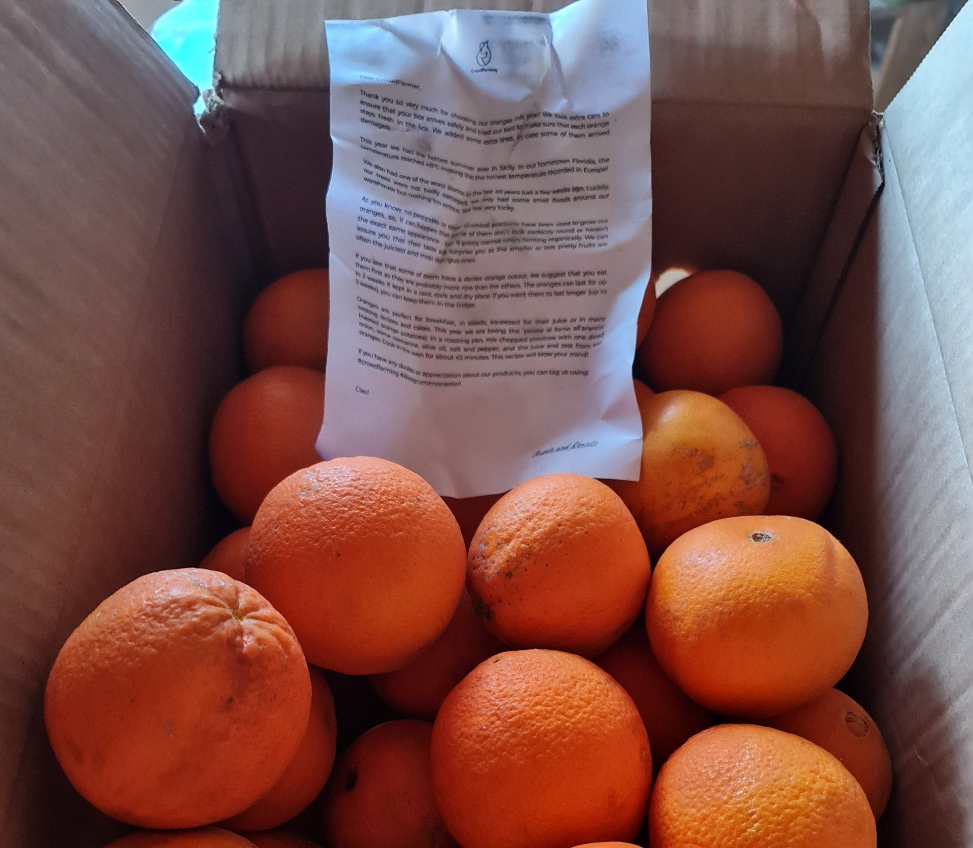 Crowdfarming ist da Photo by: Viola Einert-Krug s Orangen in einer Kiste