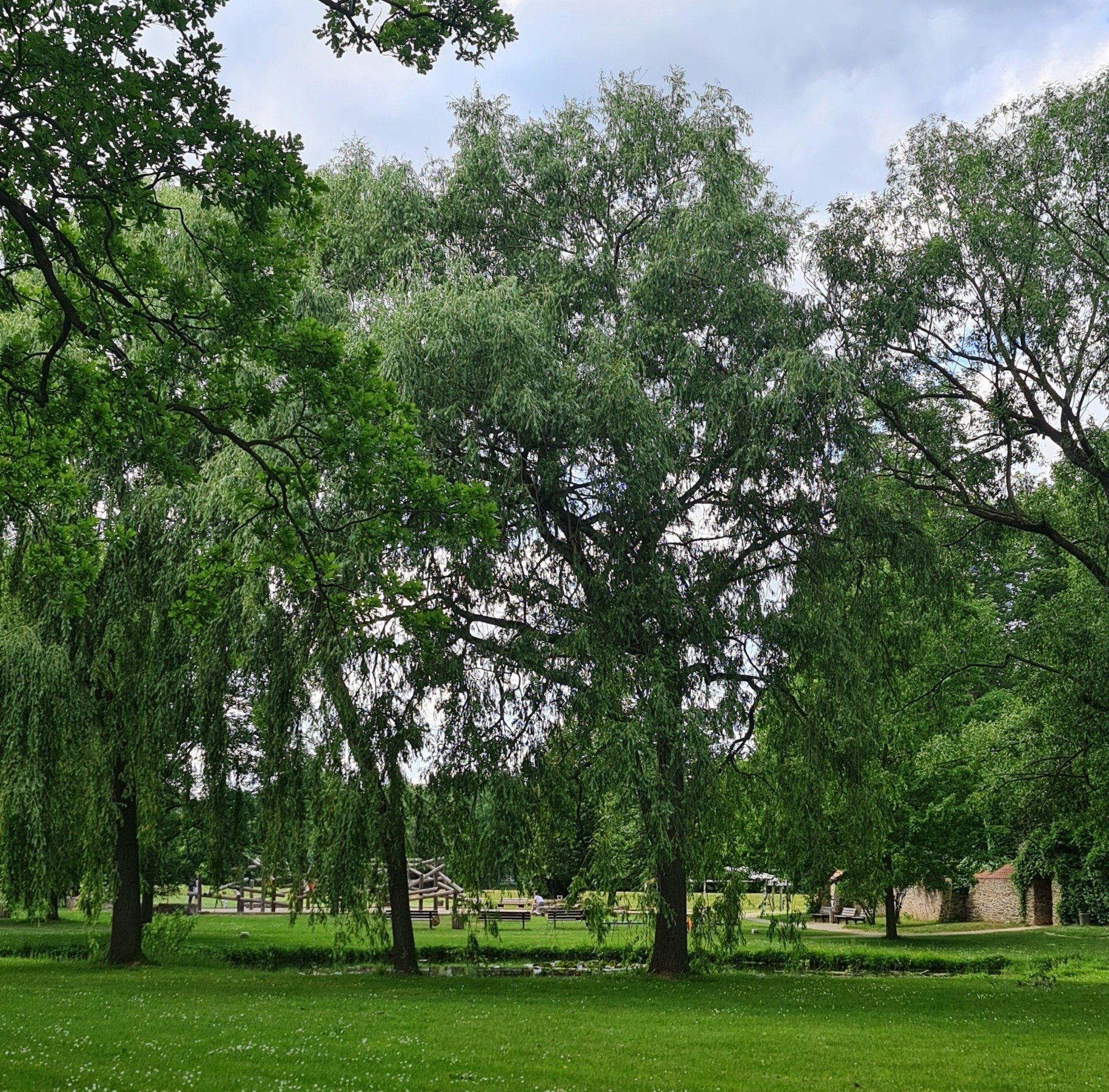 Spielplatz in einem Park Klettergerüst aus Holz im Hintergrund