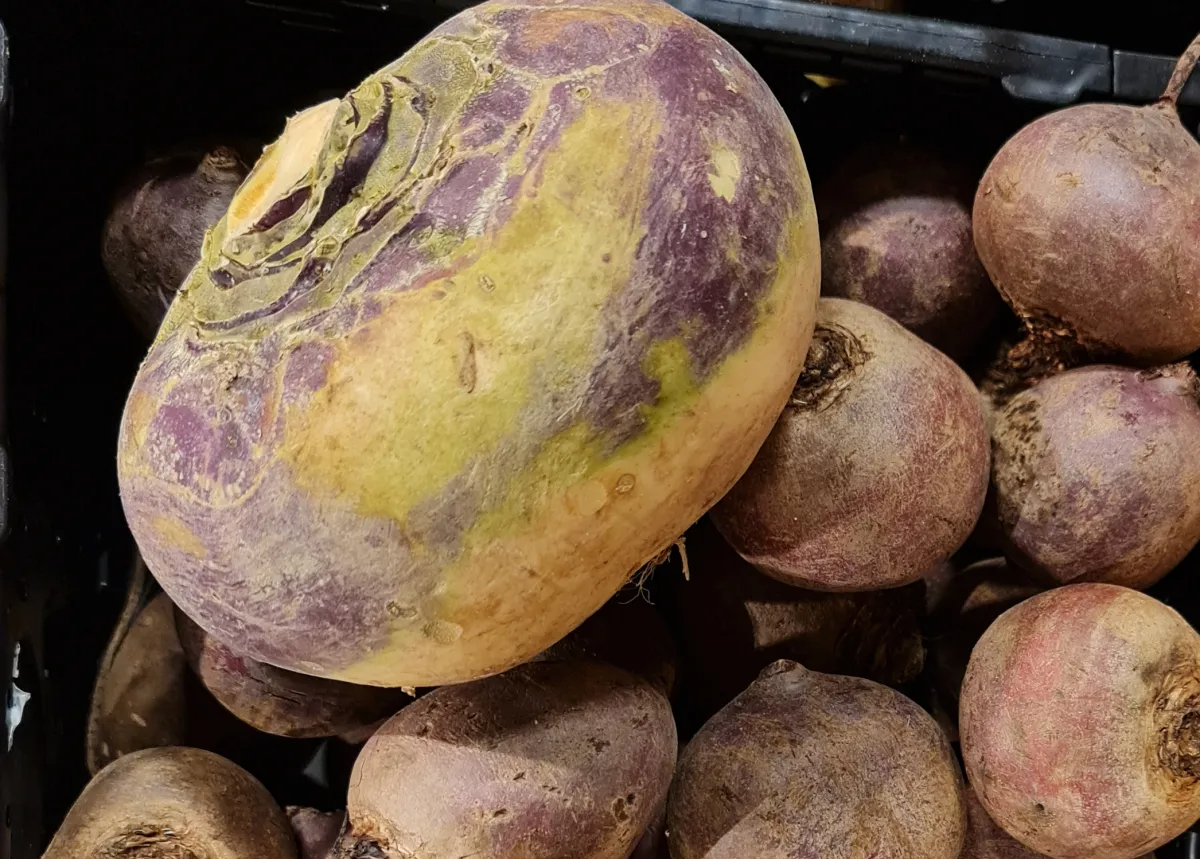 Rüben unter sich Photo by: Viola Einert-Krug Schüssel-Suppe-Kohl-Rosenkohl