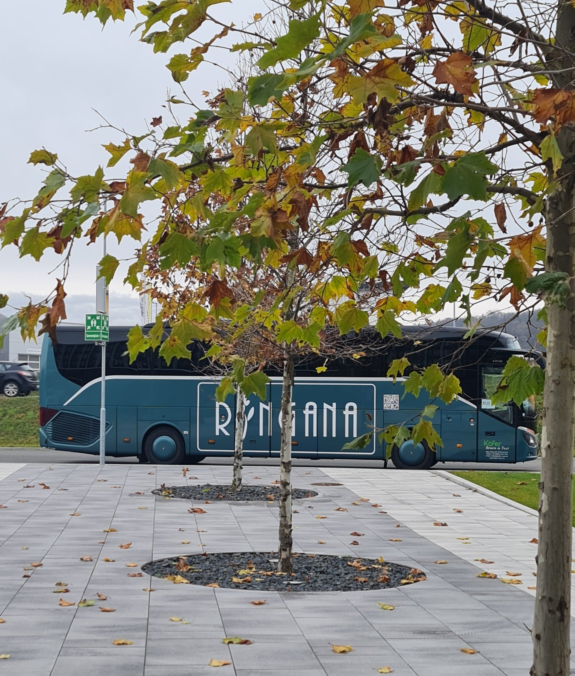 Der Bus bringt uns zum Campus Photo by: Viola Einert-Krug Bäume und Gehwegplatten in grau, dahinter sieht man durch einen Baum einen grünen Bus mit der Aufschrift RINGANA