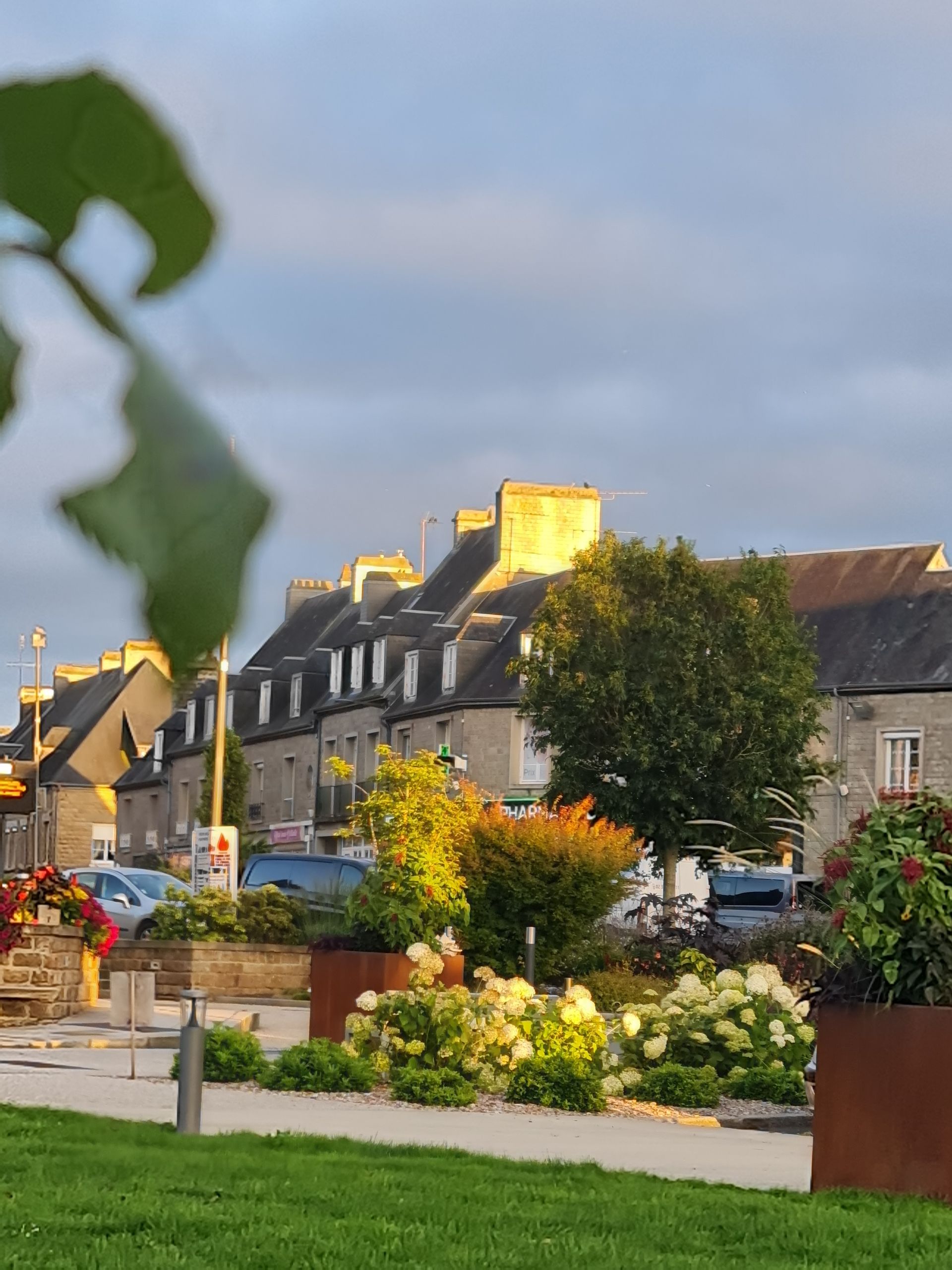 Häuser im Sonnenschein voller bunter Blumen im Vordergrund