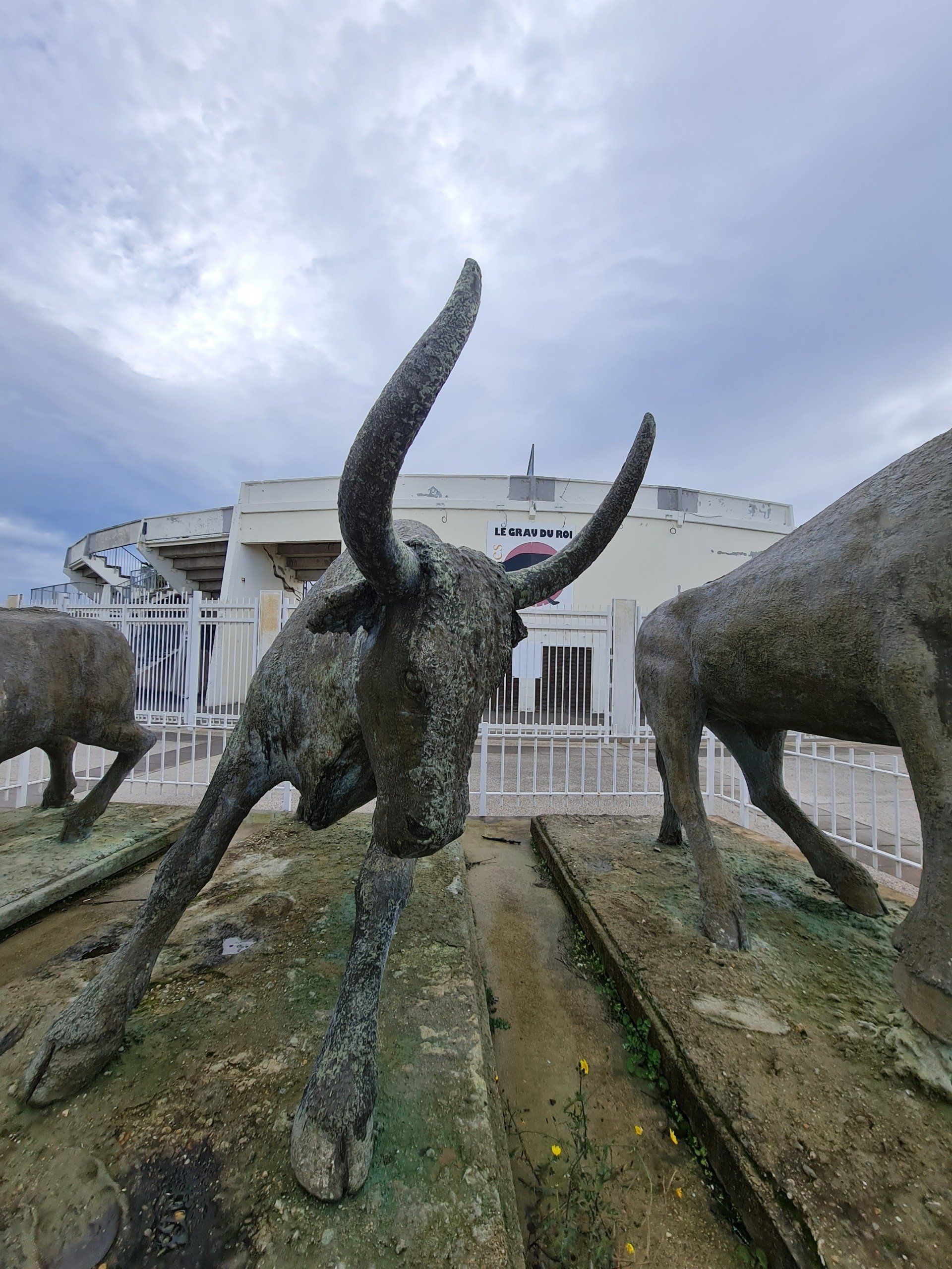 Stiere der Camargue  aus schwarzem Metall mit großen Hörner vor einer runden, weißen  Arena