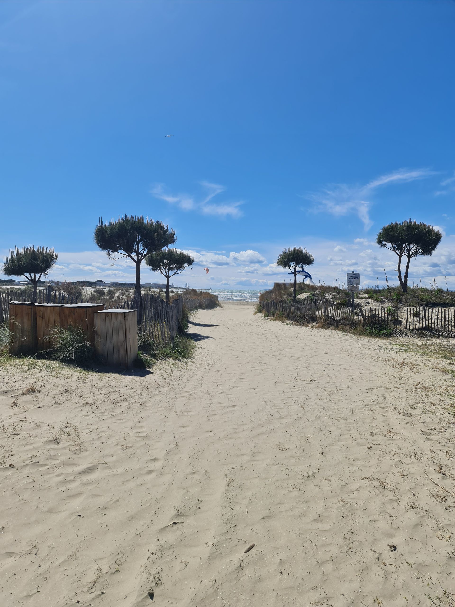 Zugang zum Strand mit Pinien und Sand