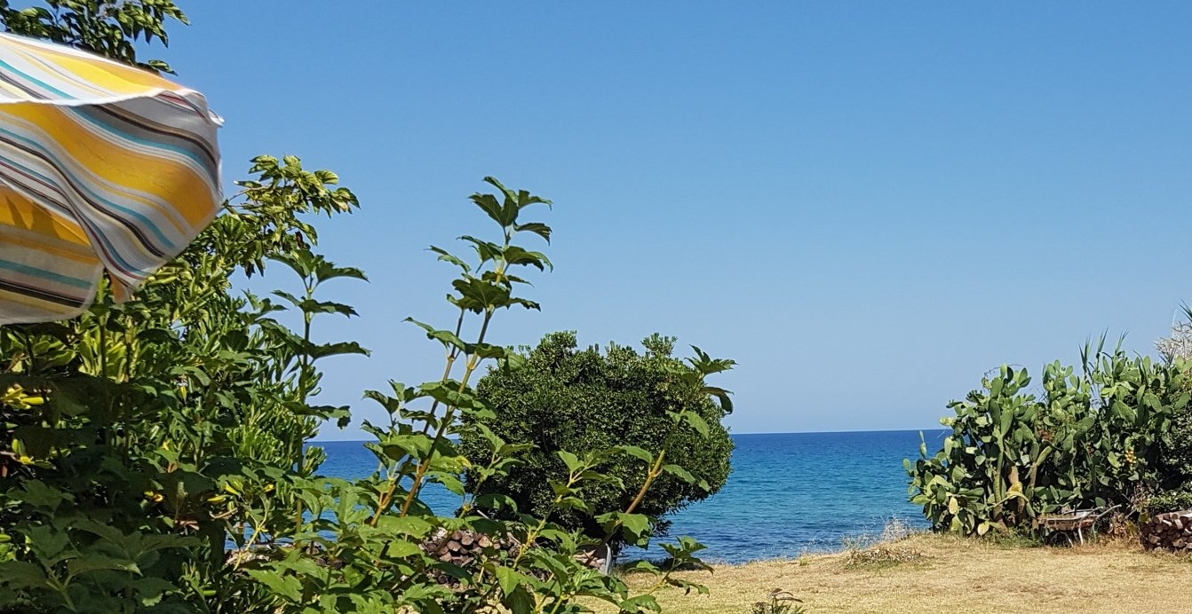 Strand-Meer-Büsche-Korsika