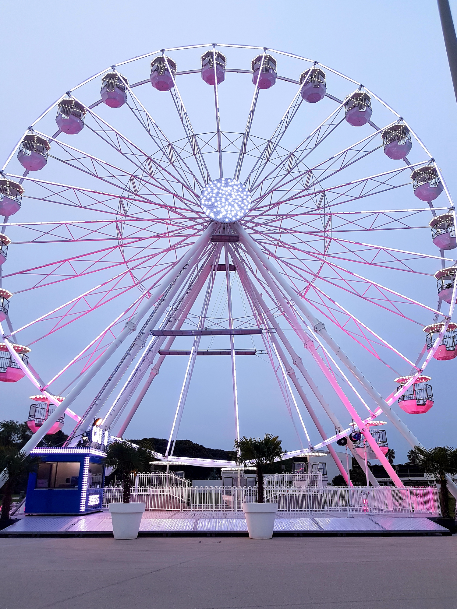 sehr grosses rosa angestrahltes Riesenrad an der Strandpromenade in LGM
