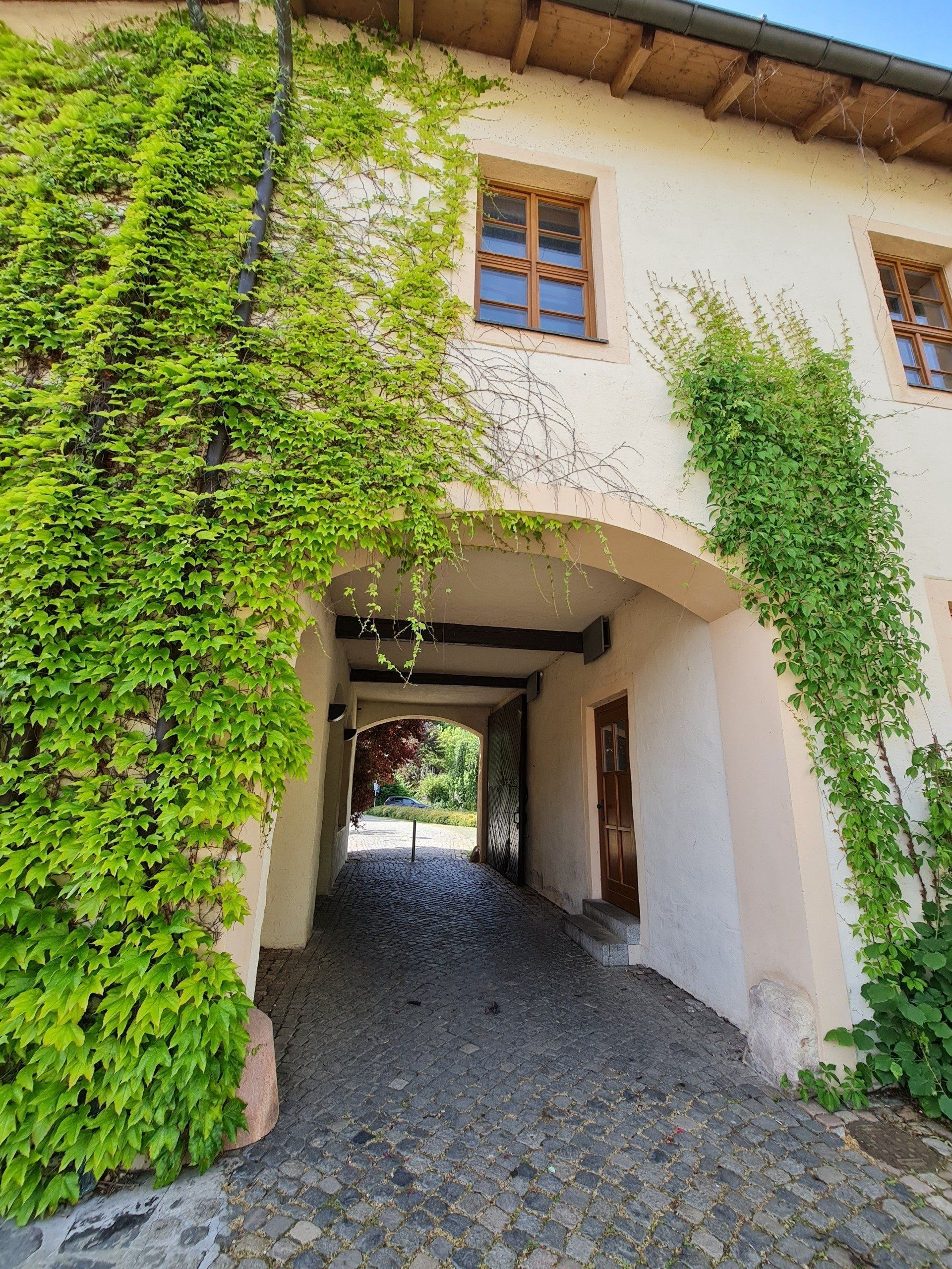 Toreinfahrt im Schloss - bewachsen mit Wein