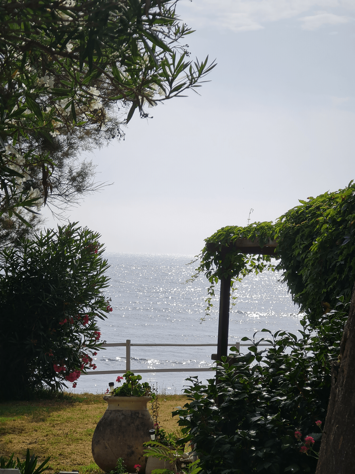 Garten am Mittelmeer- blaues Wasser, Pflanzen-Sonne