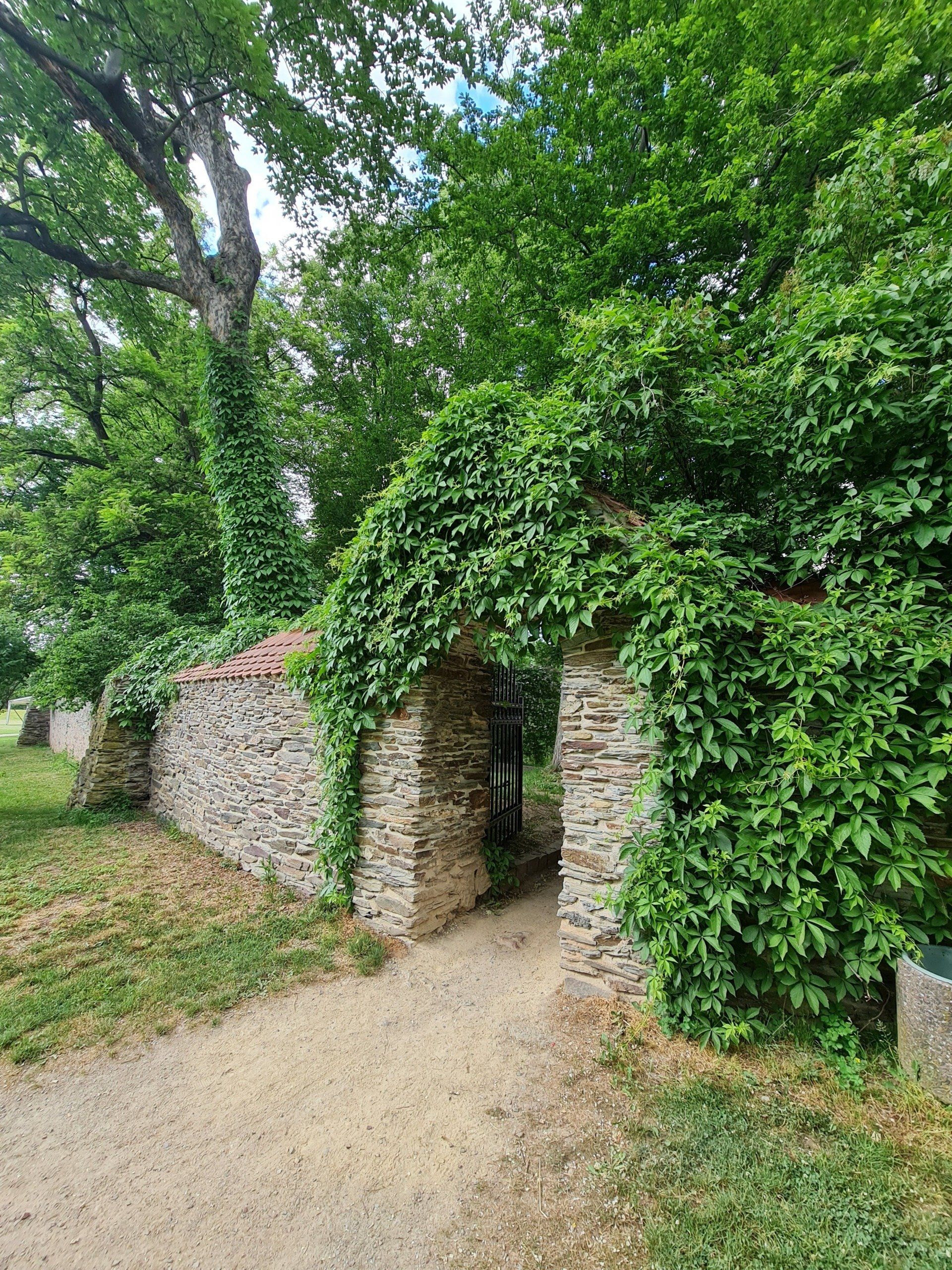 Schlossmauern mit Toröffnung und Bepflanzung