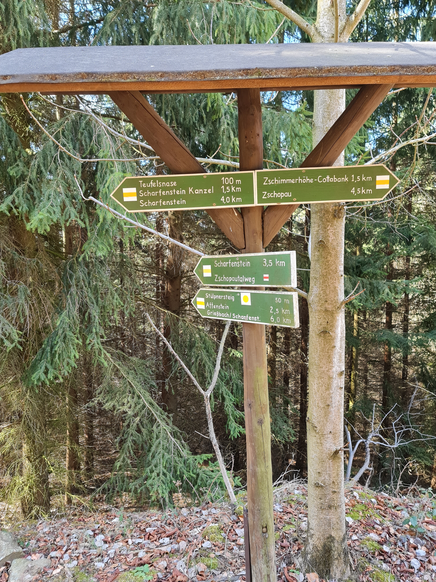 Wegweiser im Wald Scharfenstein-Teufelsnase-Erzgebirge