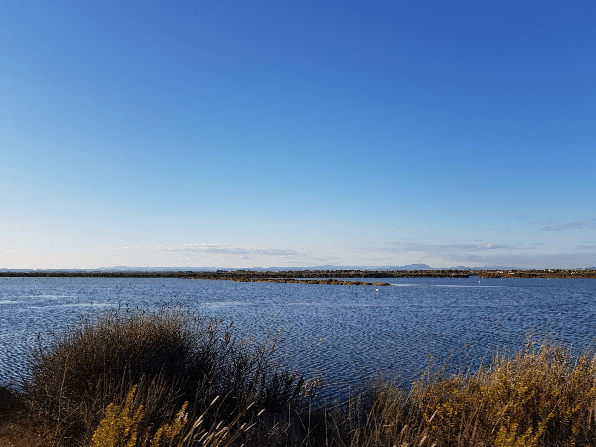 weite Wasserlandschaft aus Salzwasser im Süden Frankreich