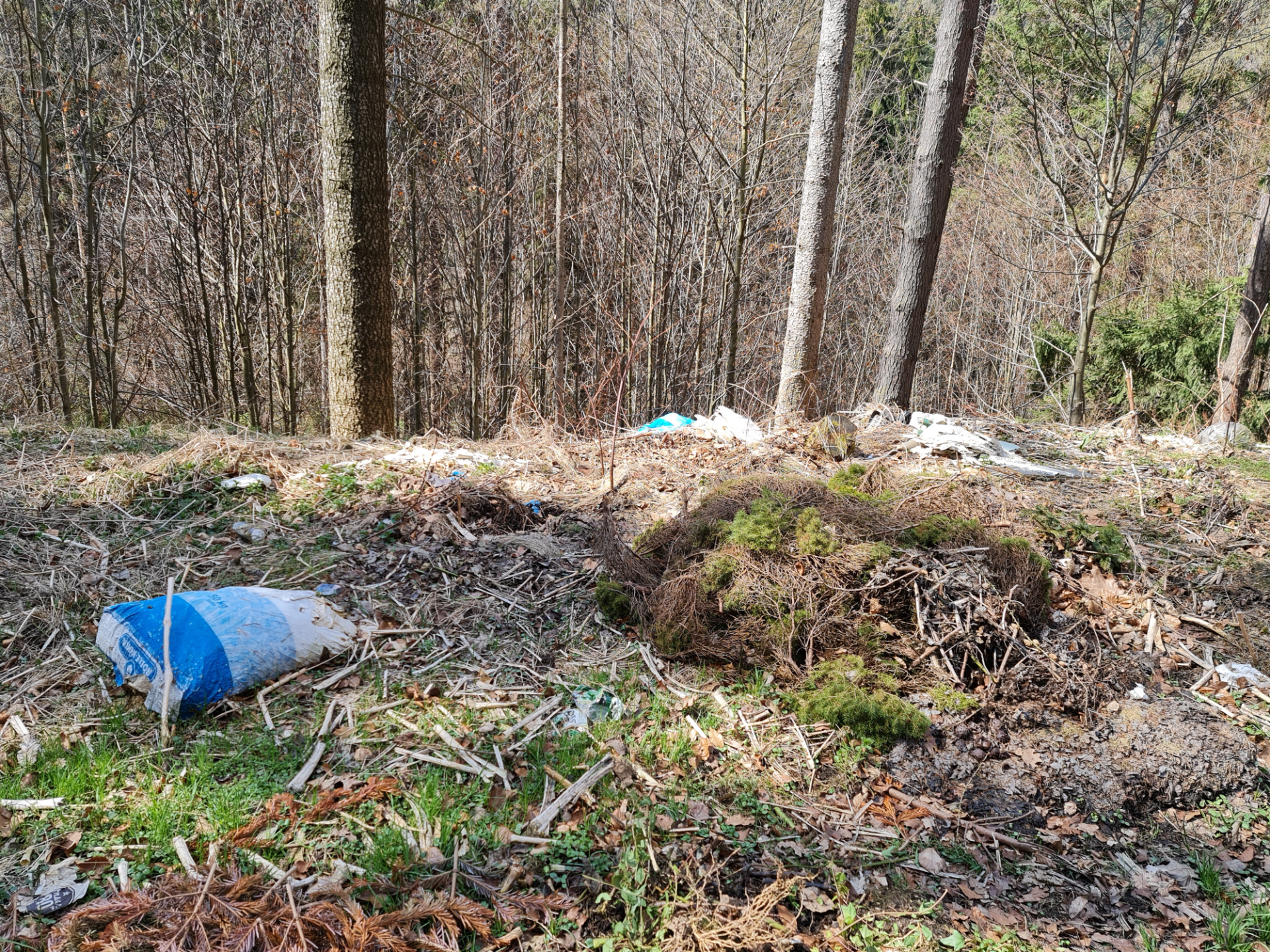 wilde Müllhalde im Wald