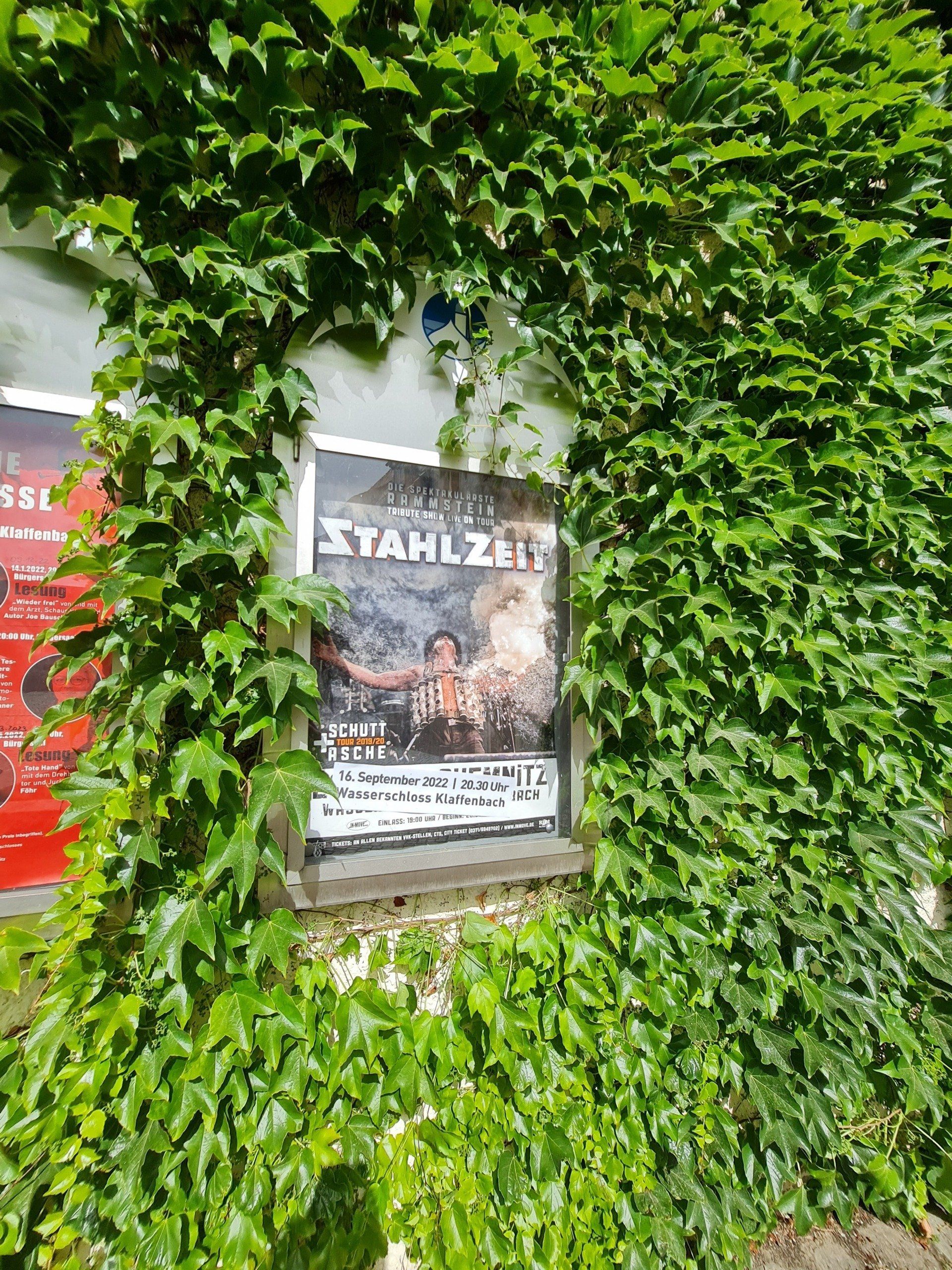 Ankündigungstafel von Wein umwachsen mit Events im Wasserschloss