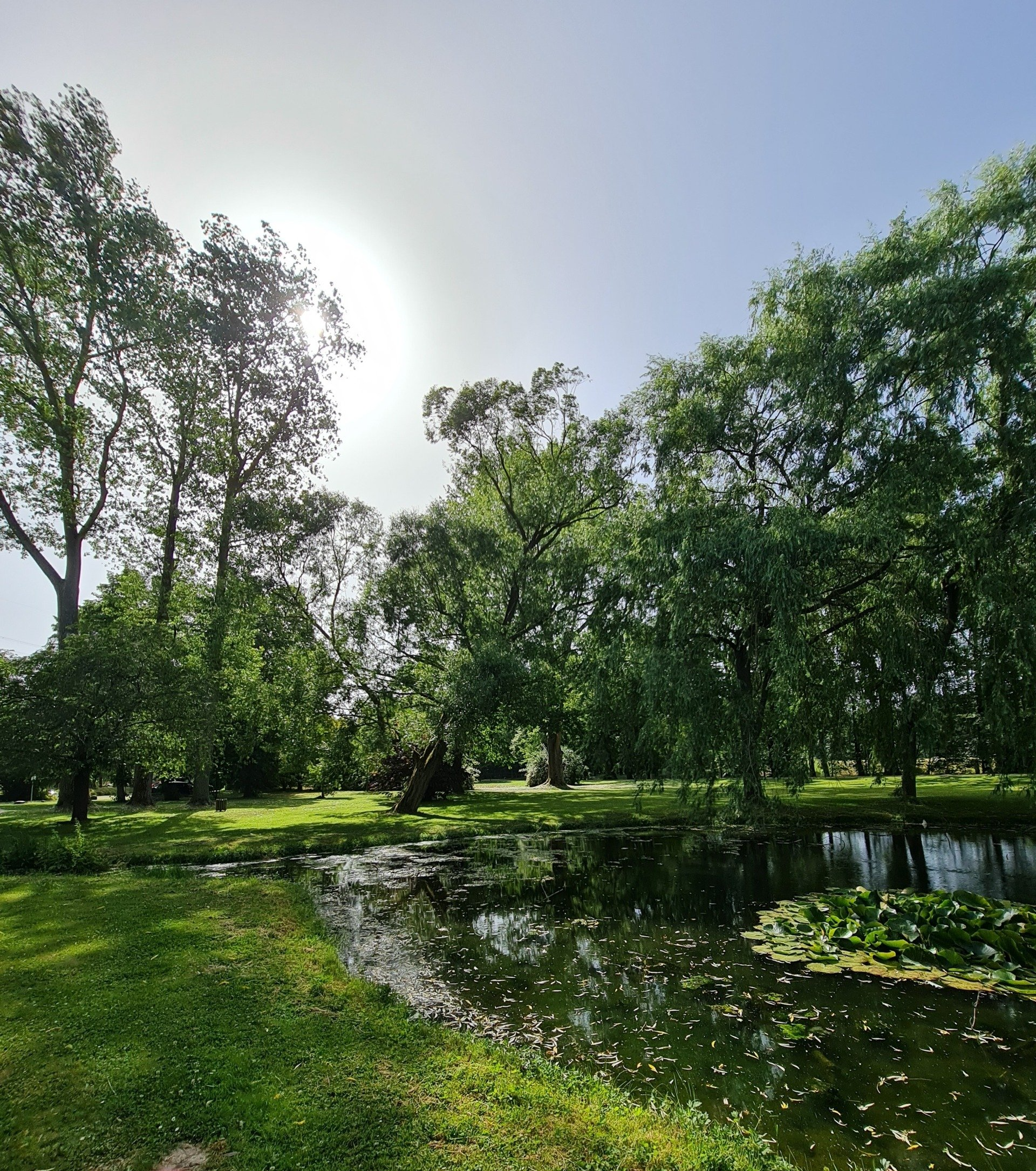 Grüne Natur - so muss sie bleiben Photo by: Viola Einert-Krug Park mit Wiesen und Teich