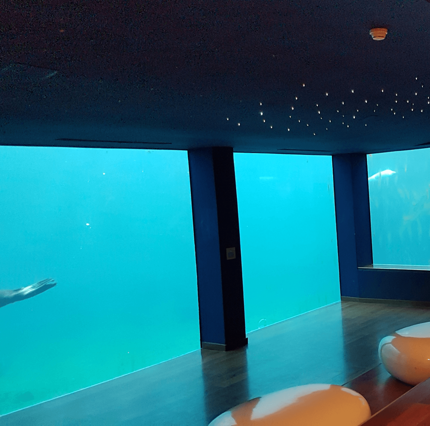 Blick in ein riesiges Aquarium - nur Wasser