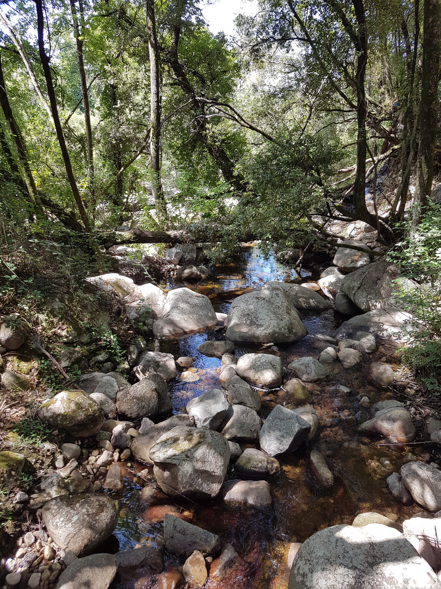 Bachlauf mit Steinen