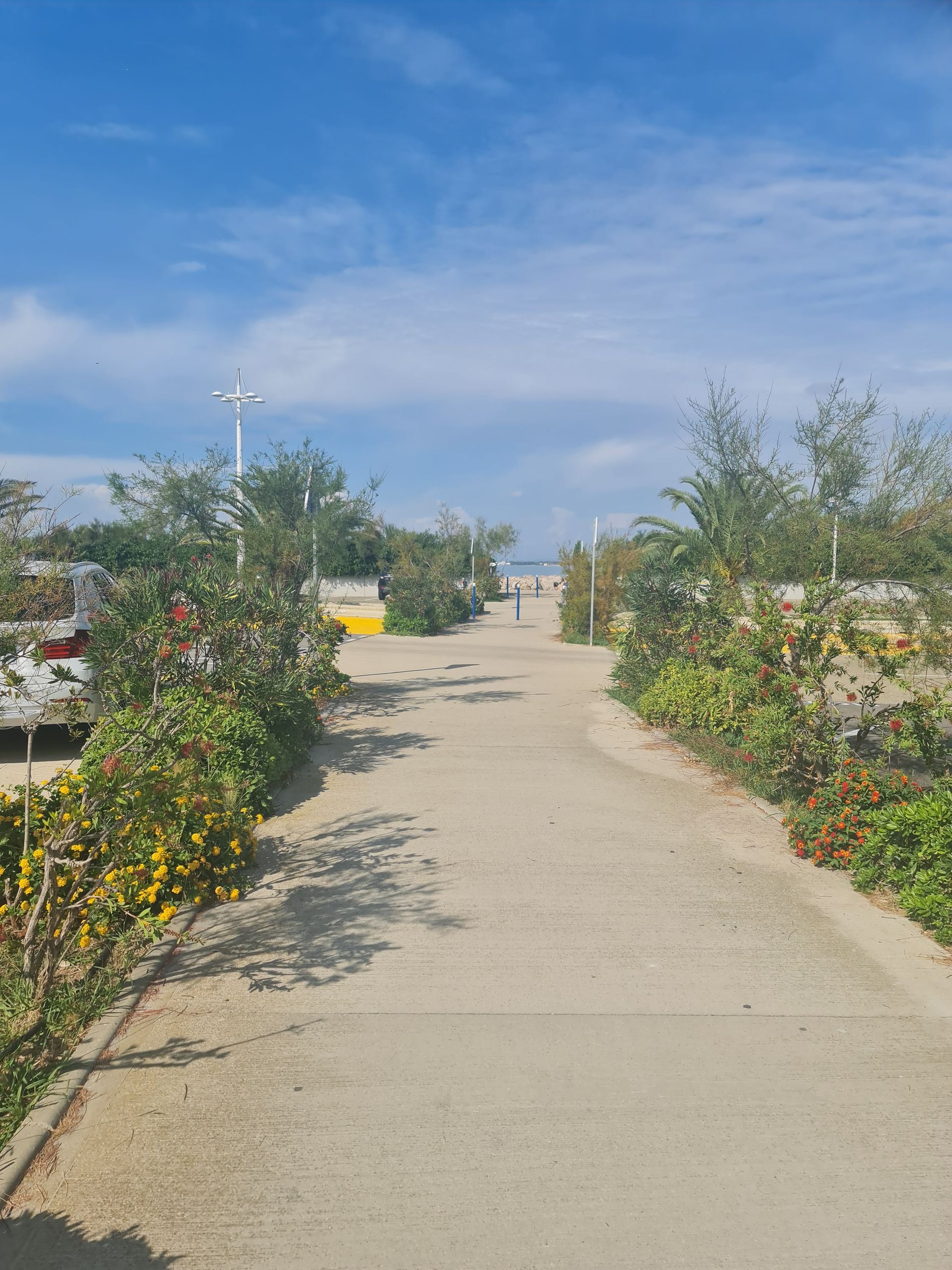 langer Weg      Photo by: Viola Einert-Krug langer Weg gesäumt von blühenden Büschen