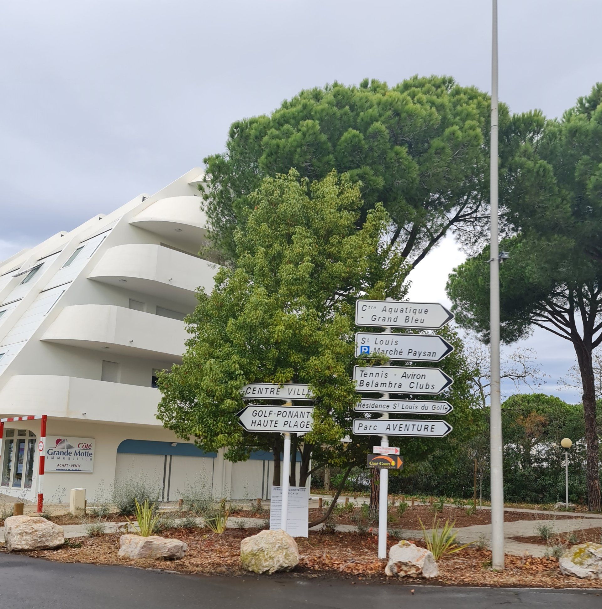 nach oben rund werdendes Gebäude vor einer Pinie an einer Straße