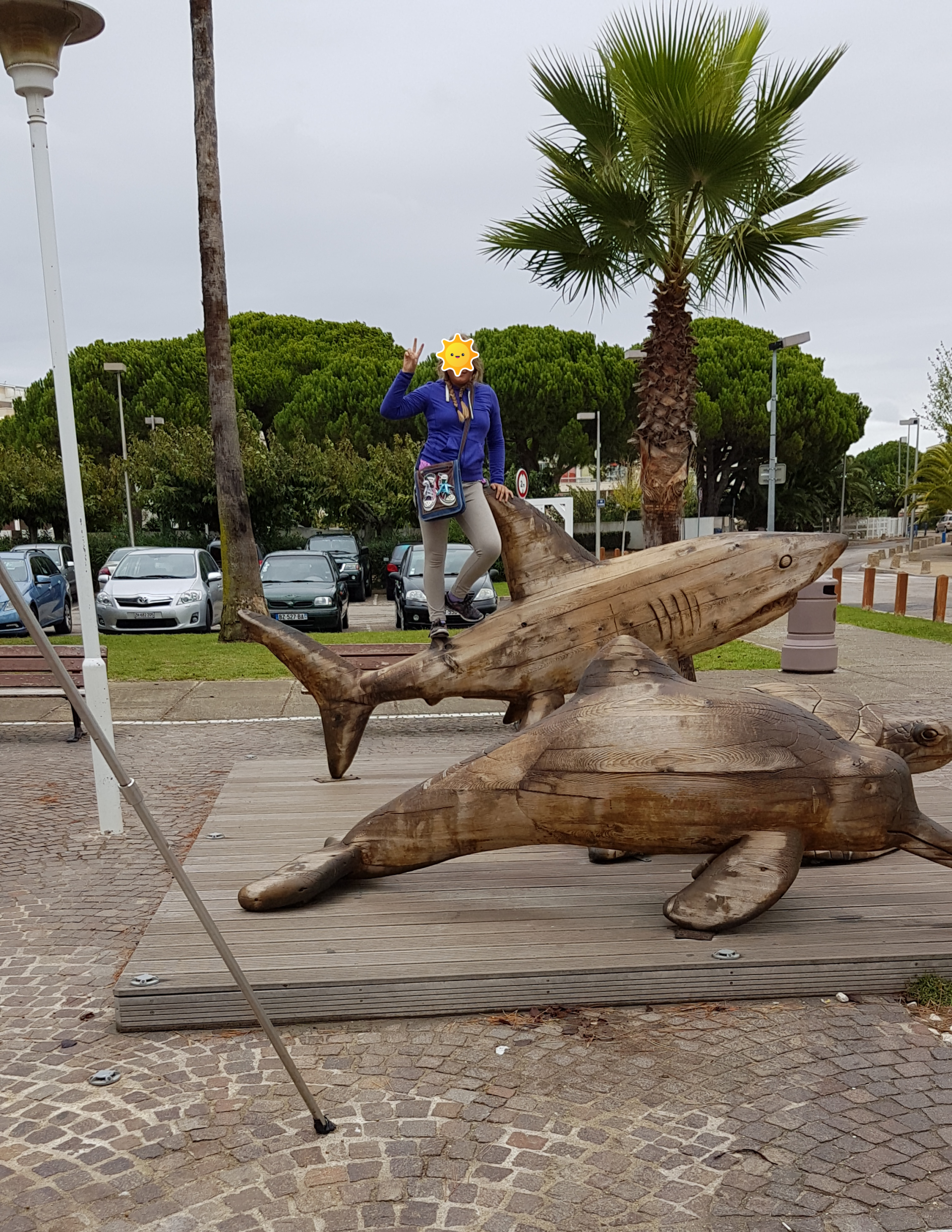 Haie aus Holz vor dem Seaquarium in Le Grau du Roi im Hintergrund Palmen und Pinien