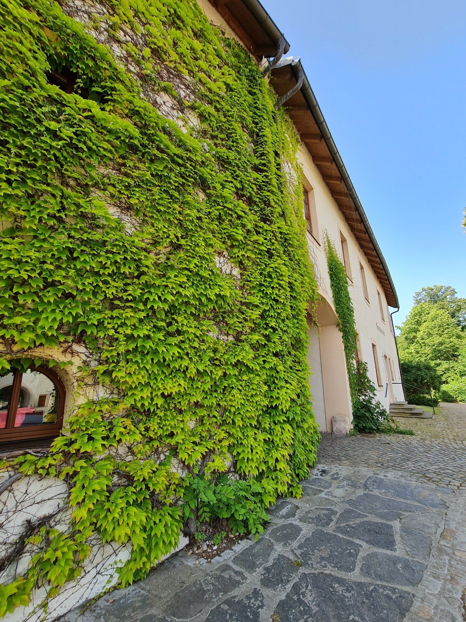 mit Wein bewachsenes Gebäude - Schlosses und gepflasterter Hof
