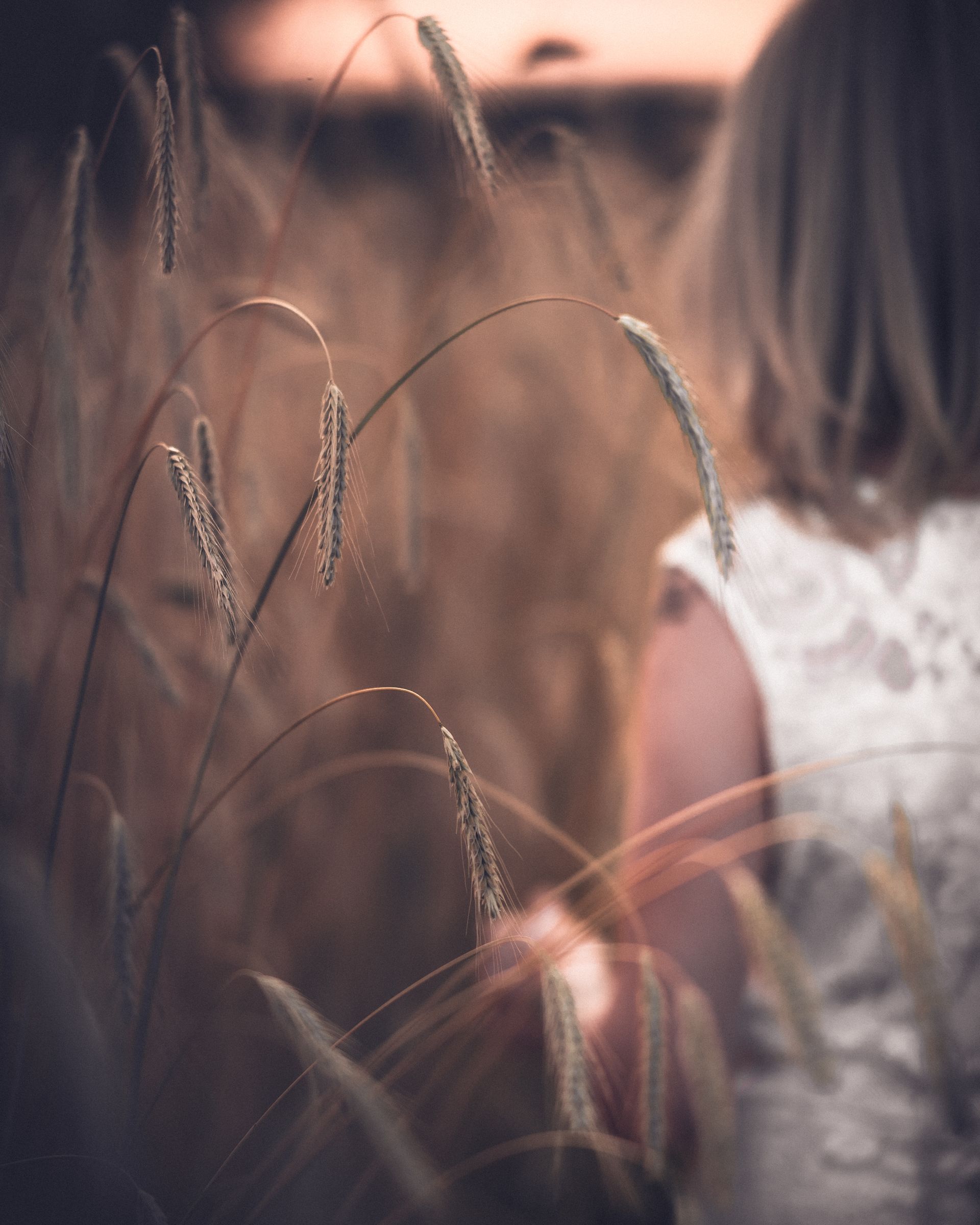 Unscharfe Aufnahme einer Frau in einem weißen Spitzenkleid, die durch ein Kornfeld bei Sonnenuntergang geht. Im Vordergrund tanzen einzelne Ähren im weichen Licht. Die Szene wirkt ruhig, verträumt und natürlich.