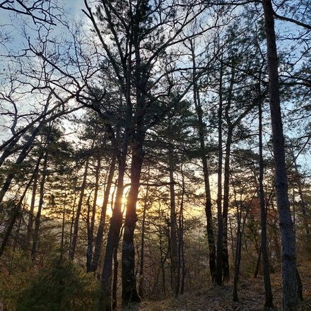 Quin és el procés de la mort física?