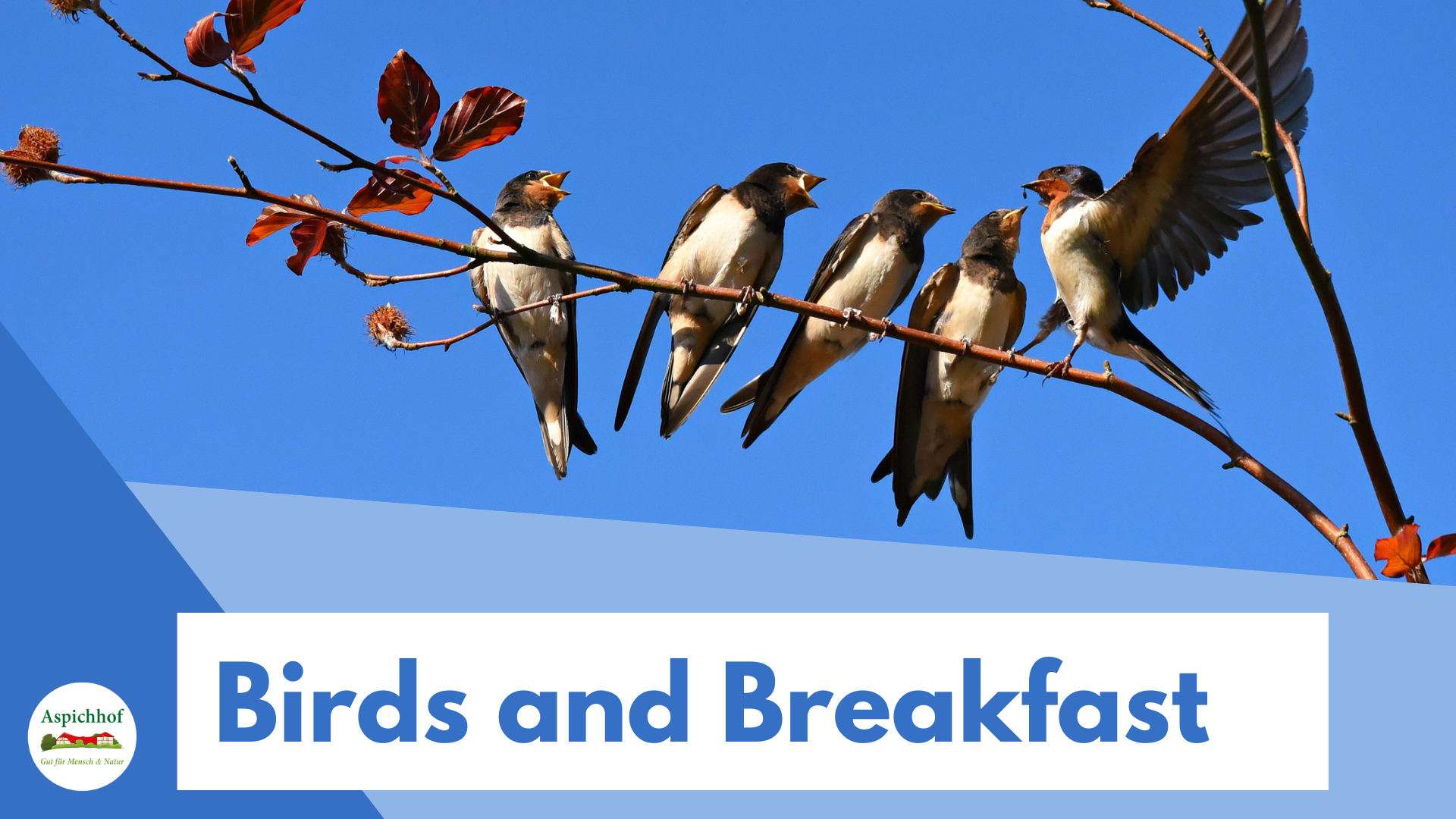 Joachim Eiermann / Badisches Tagblatt