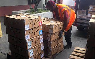 Customs Broker