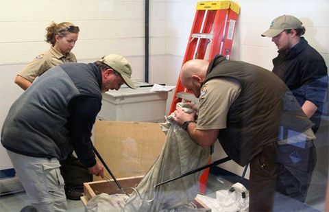 U.S. Fish and Wildlife inspectors exam