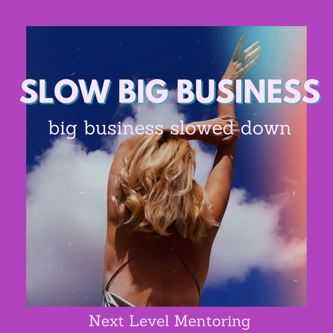 DIE REBELLin -SLow Business mentoring