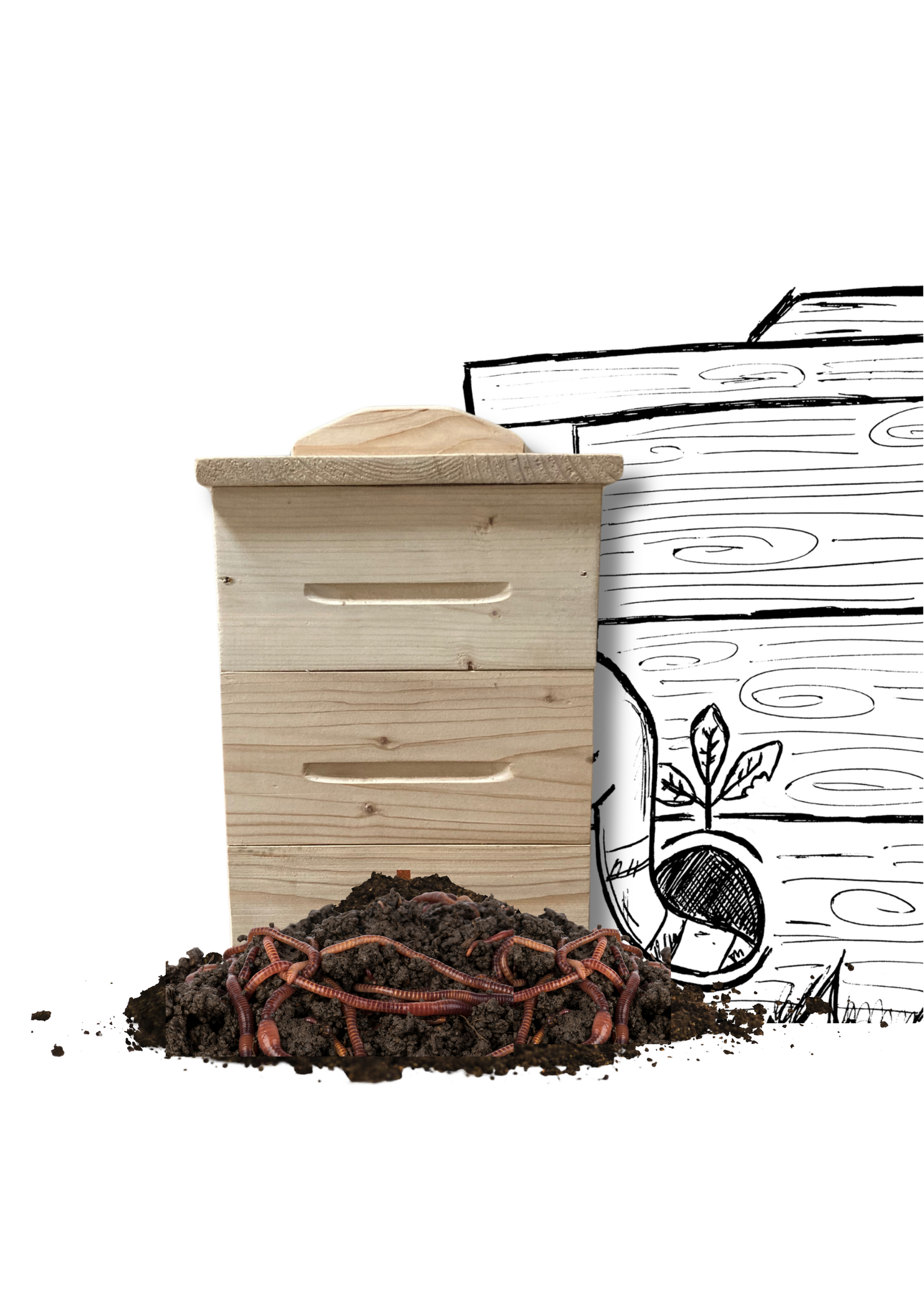 lombricomposteur