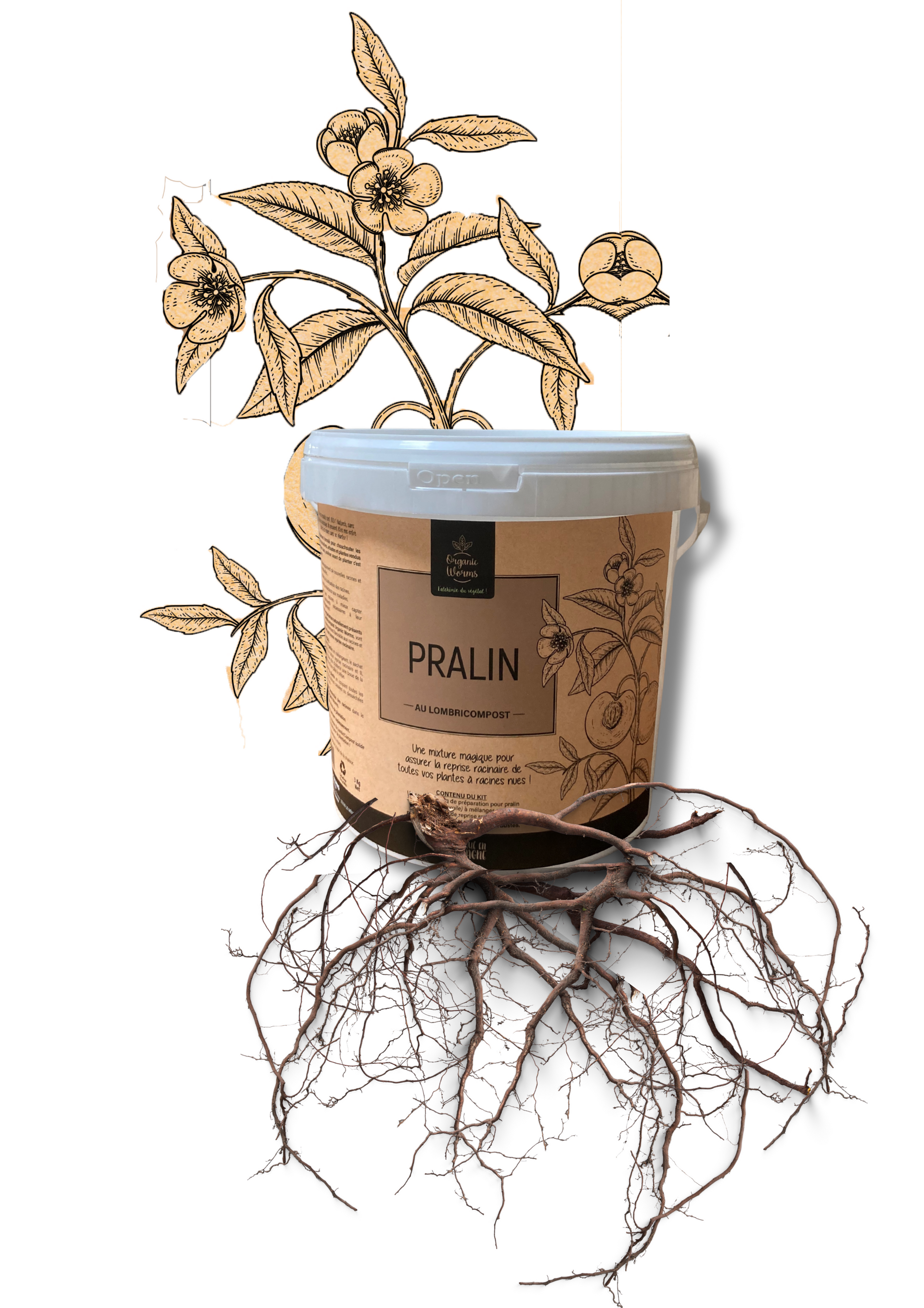 Fertilisant orchidée