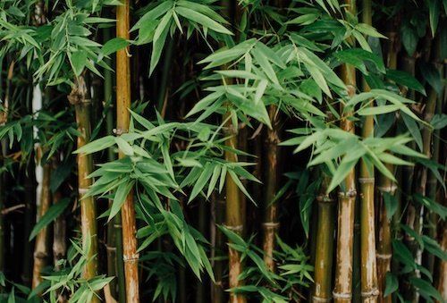 Fundraising in der Krise